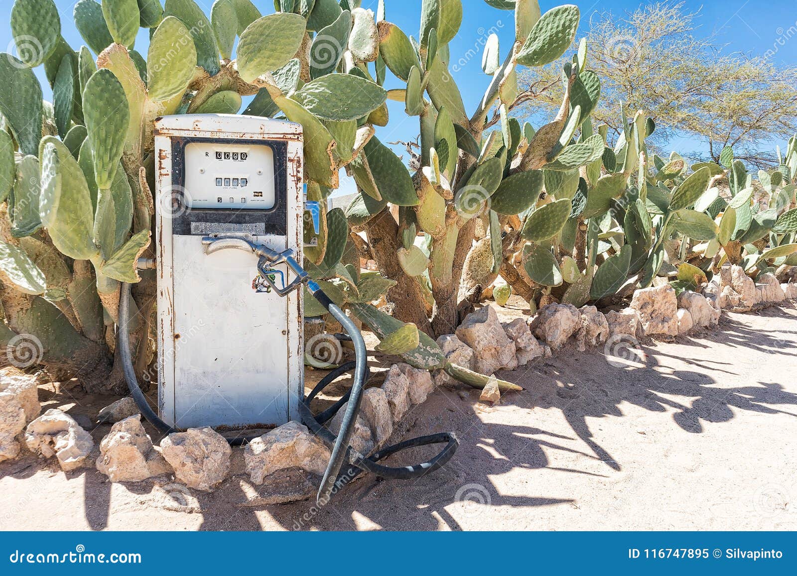 foredrag ulæselig falme Ancient Fuel Pump in Namibia Desert with Cactus Editorial Image - Image of  petrol, cactus: 116747895