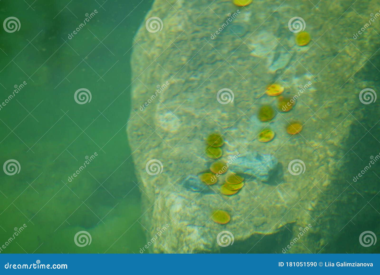 Ancient Gold Coins Underwater Stock Photo Image of marine, pirate