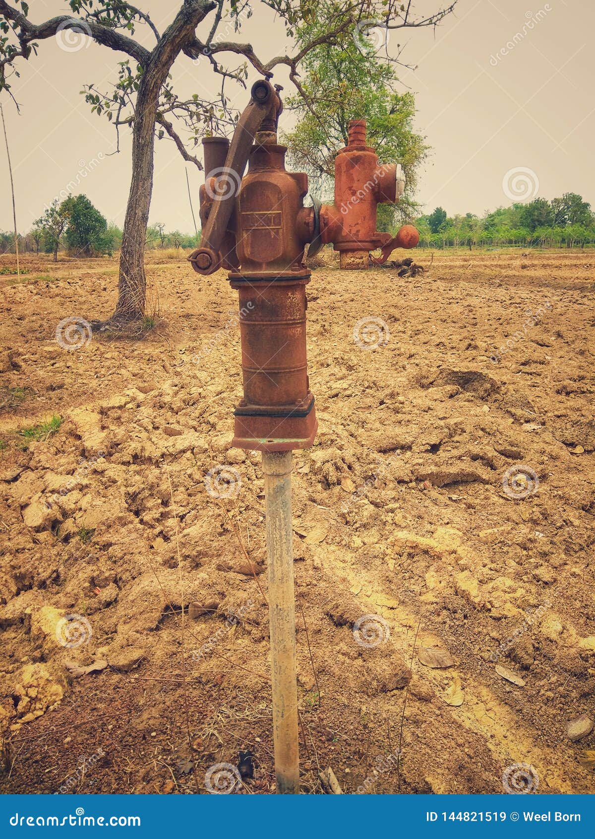 Page 3  Groundwater Images  Free Download on Freepik