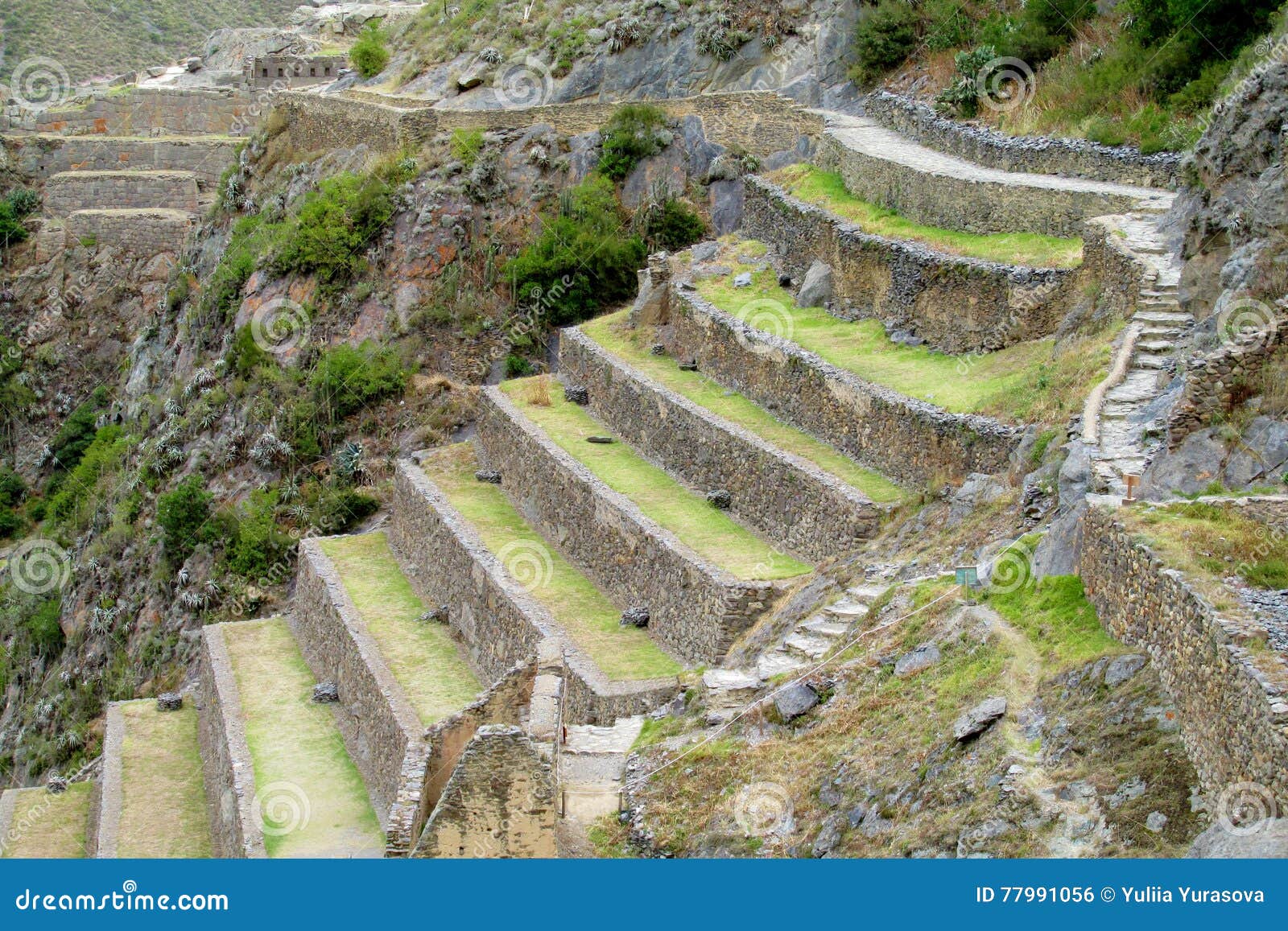 ancient inca archaeological site ruins ollantaytambo near cusco, peru
