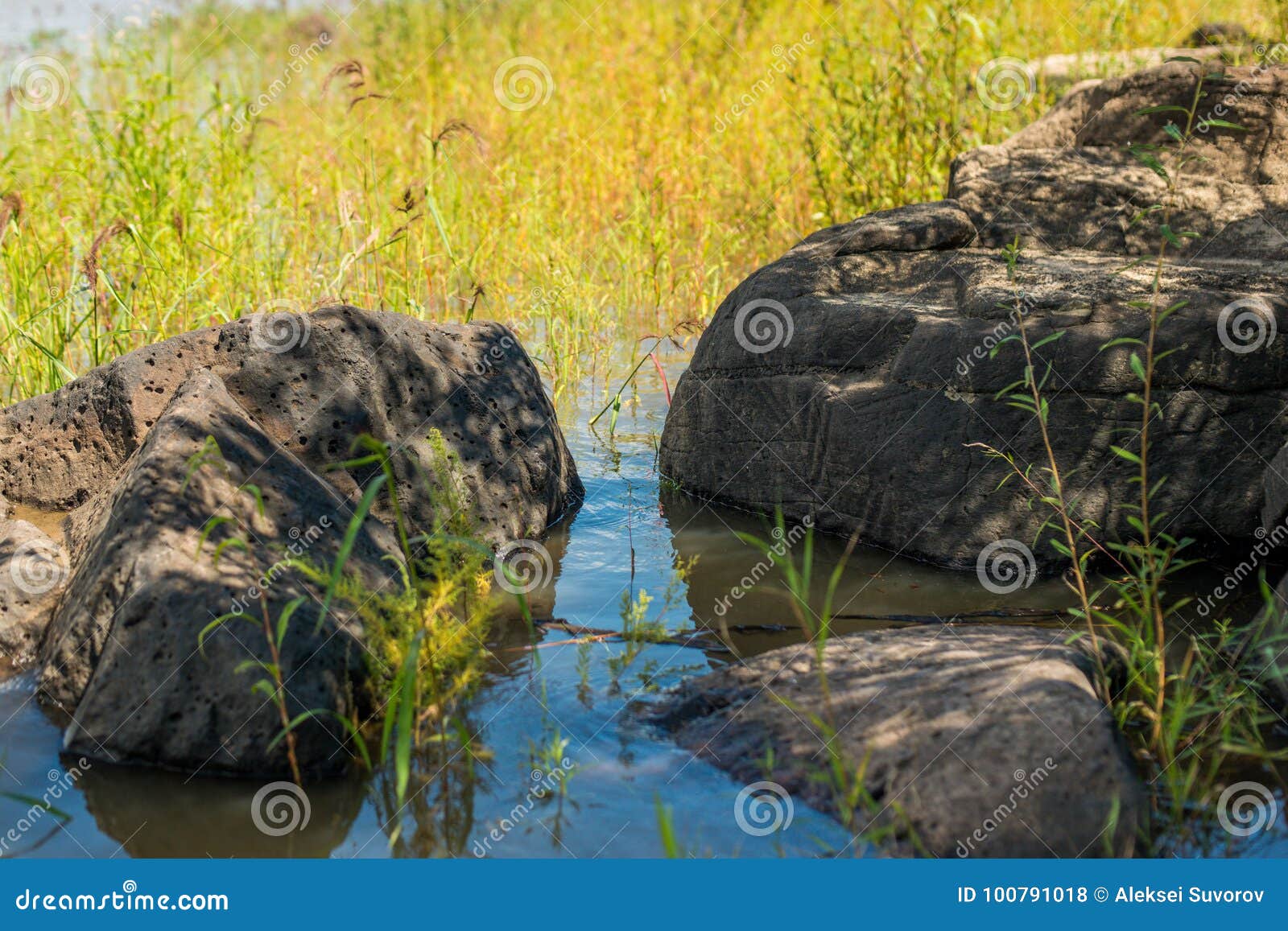 ancient petroglyph is located in the sikhote-alin , khabarovsk, russia