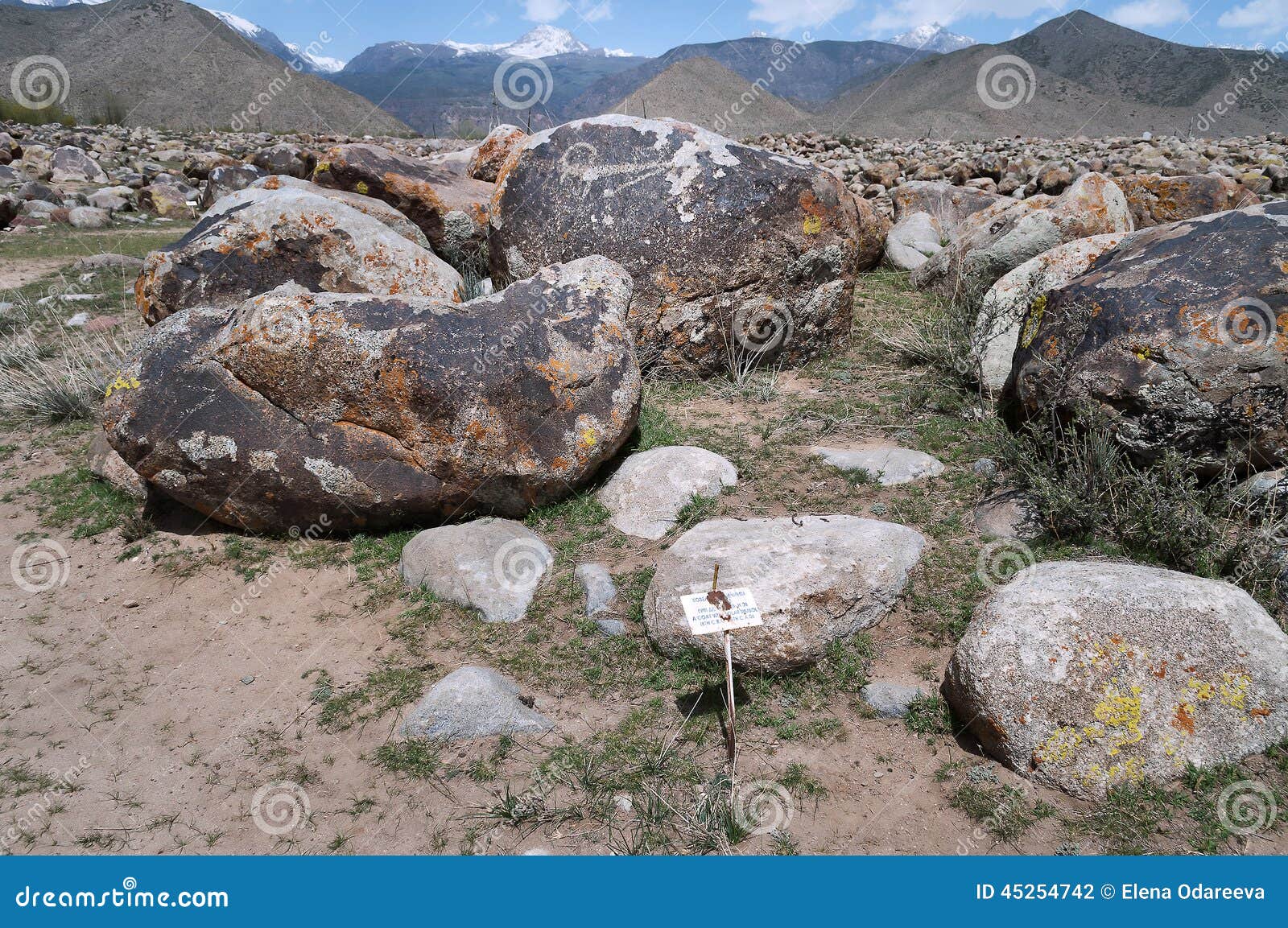 ancient petroglyph on the stone