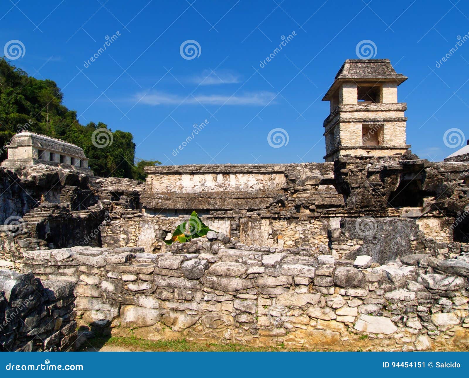 ancient pyramid and the maya tower