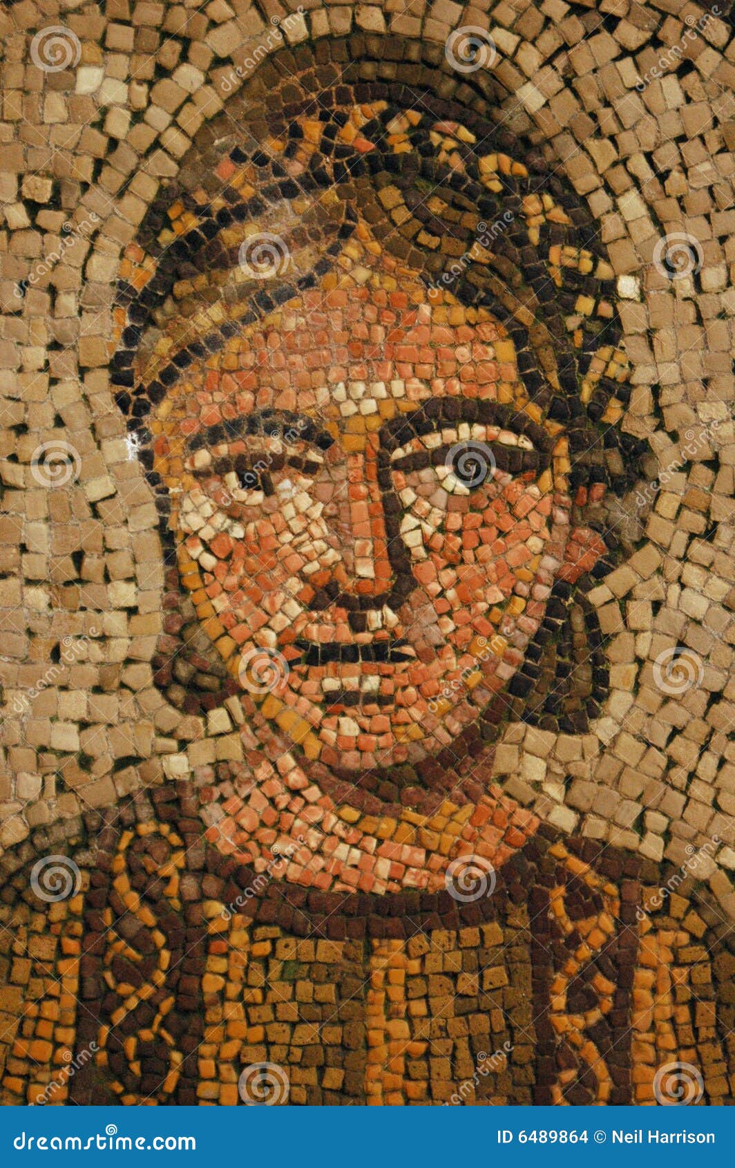 Ancient Roman  Mosaic Of Young Woman Stock Images Image 