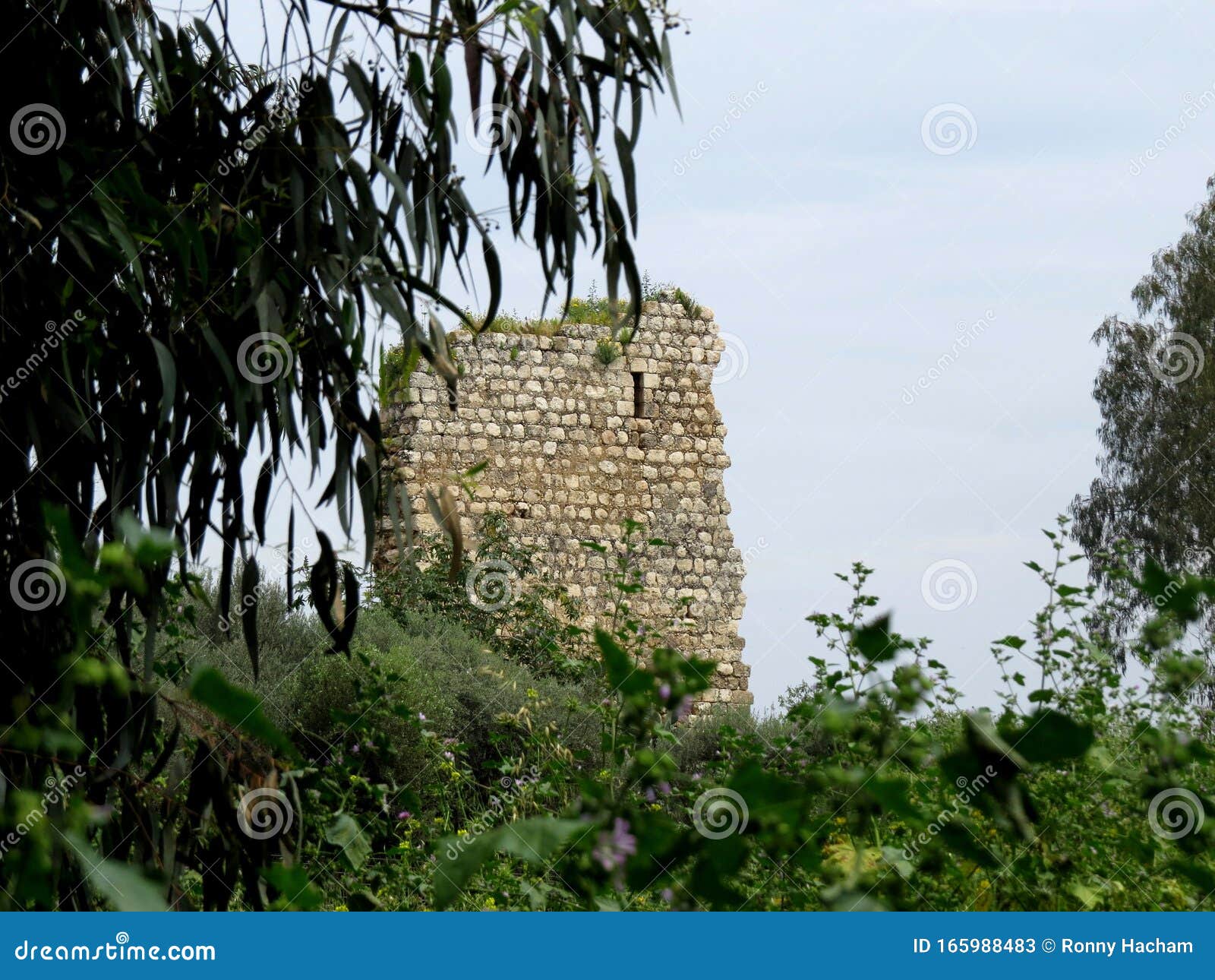 ancient ruins of burgata fort, hefer valey, israel