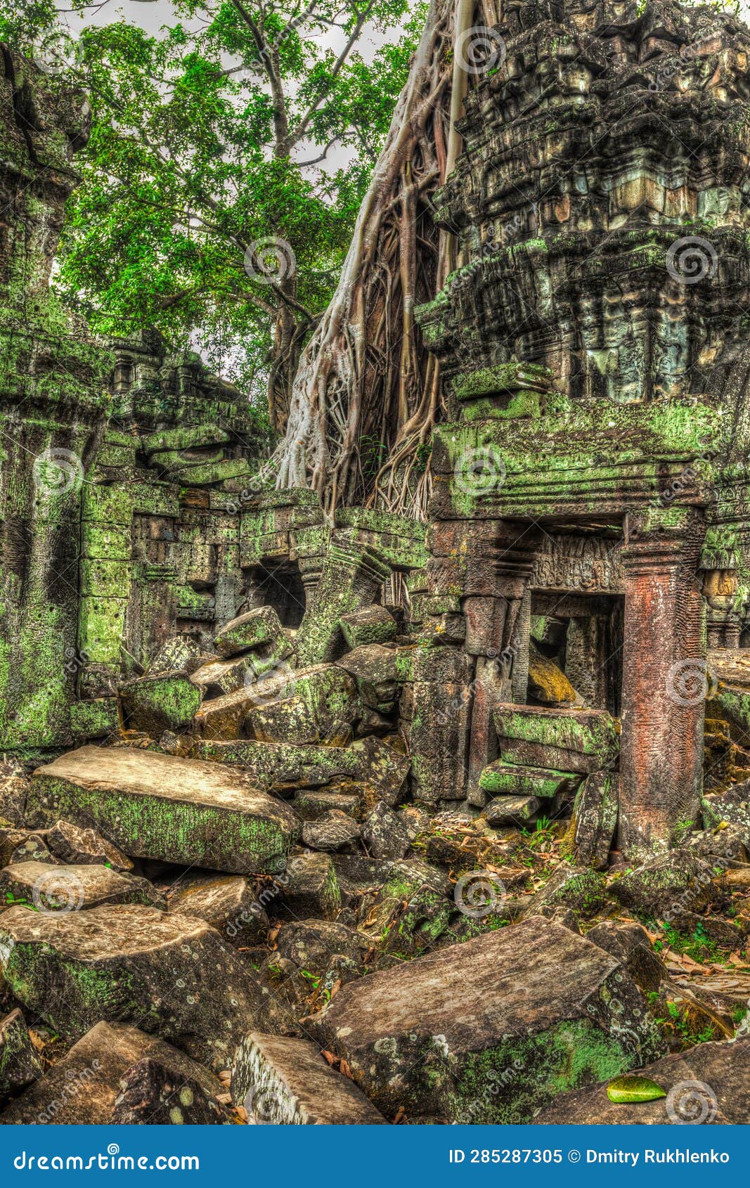 Ancient Ruins and Tree Roots, Ta Prohm Temple, Angkor, Cambodia Stock ...