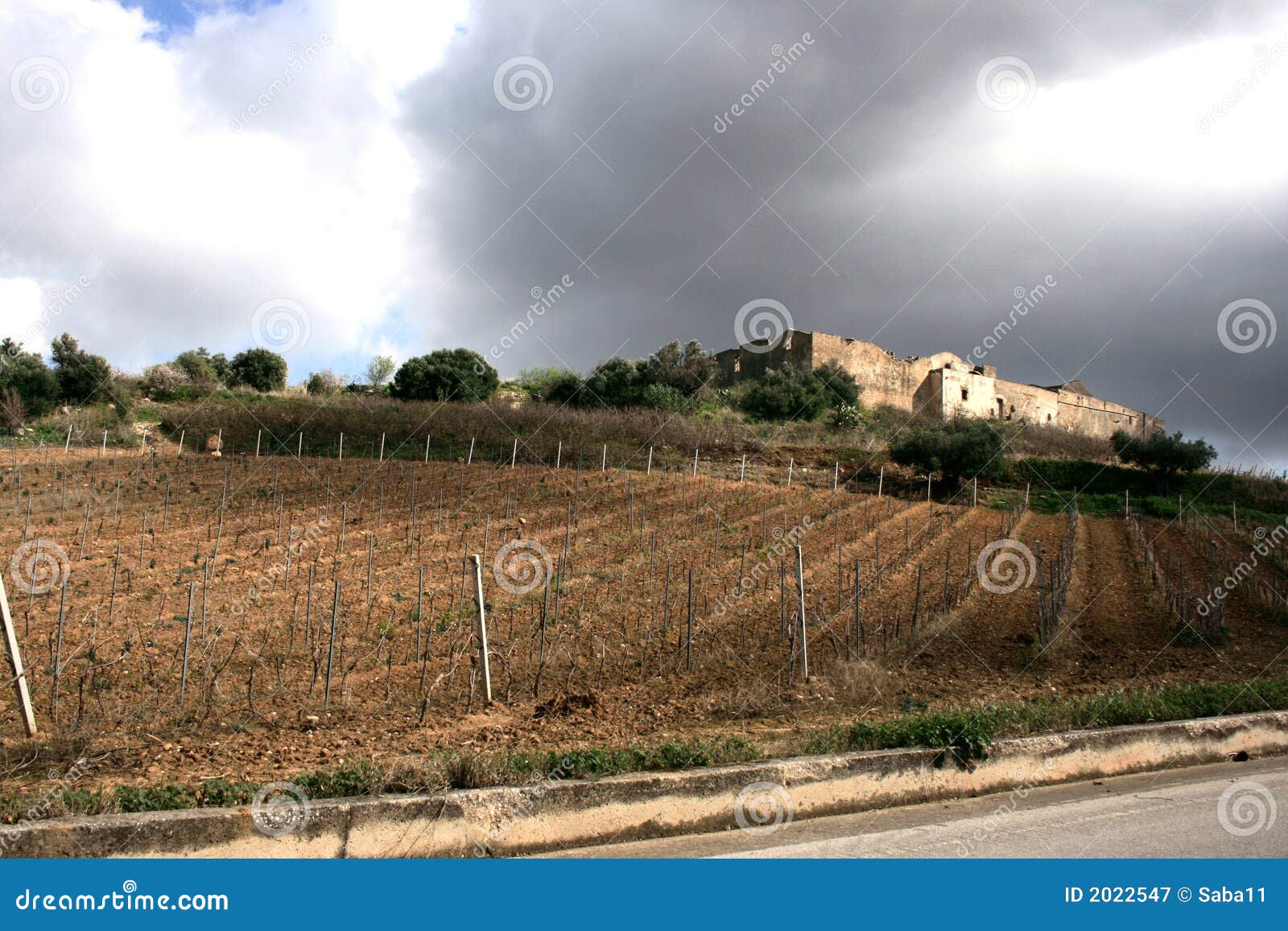 ancient stronghold farm. vineyards cultivation. fields & trees