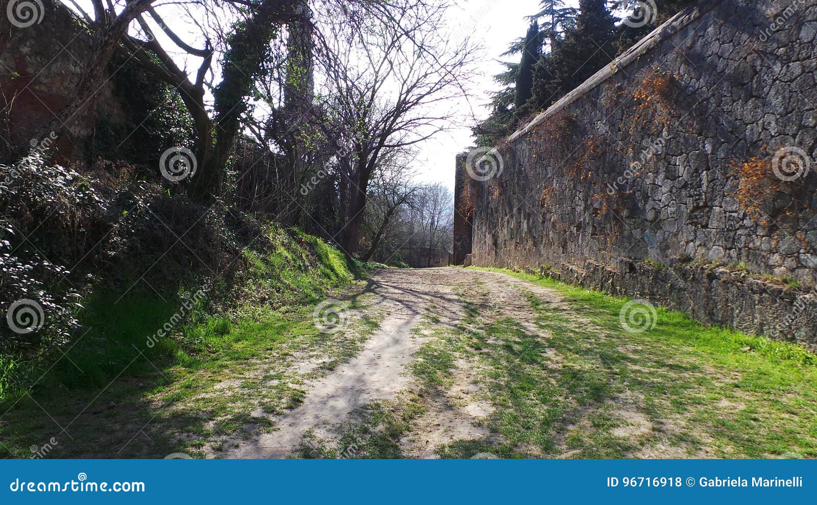 ancient walls of verona
