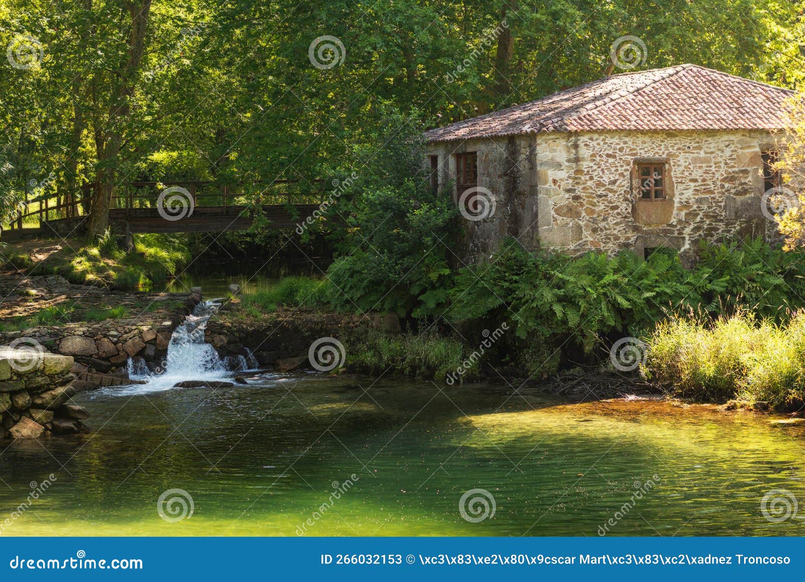 ancient water mill and wood bridge placed in tamuxe or carballas river in o rosal.