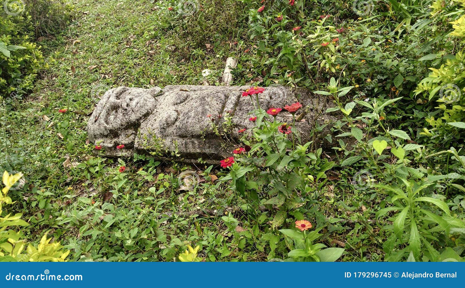 an ancient woman sculpture over grass with moss and red flowers at colombian san agustin archaeological park.
