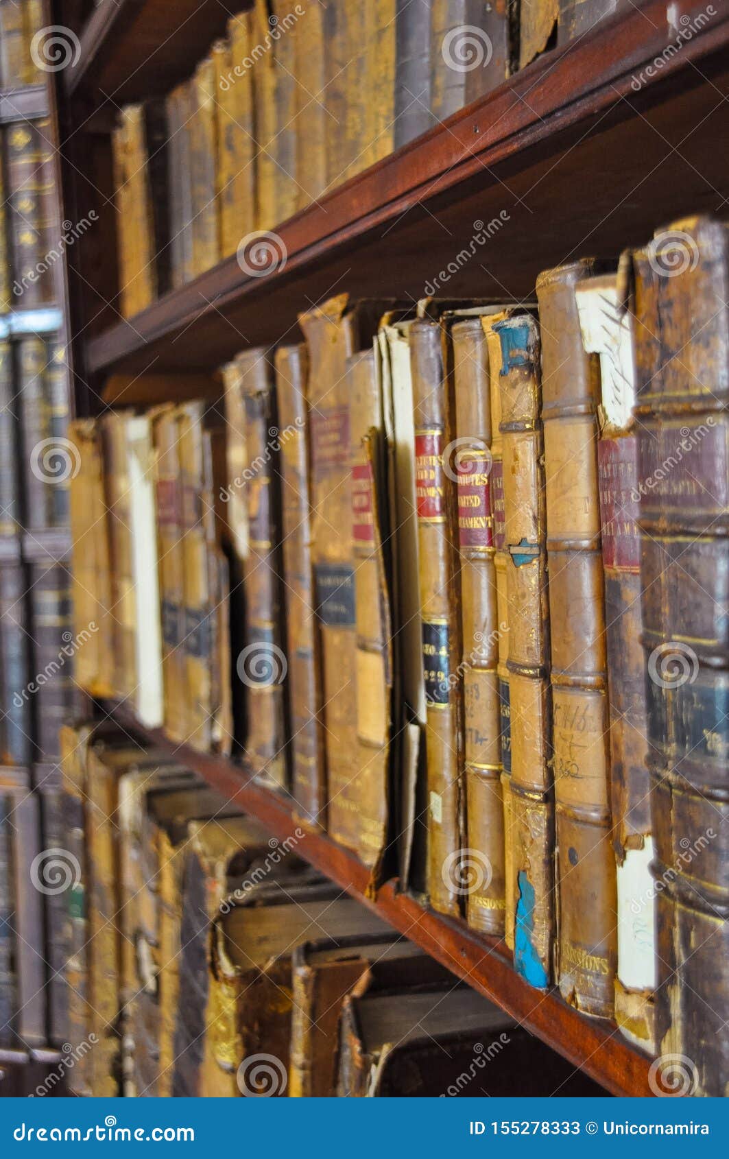 Ancient Wooden Book Shelves With Old Library Books Dusty Bookshelf