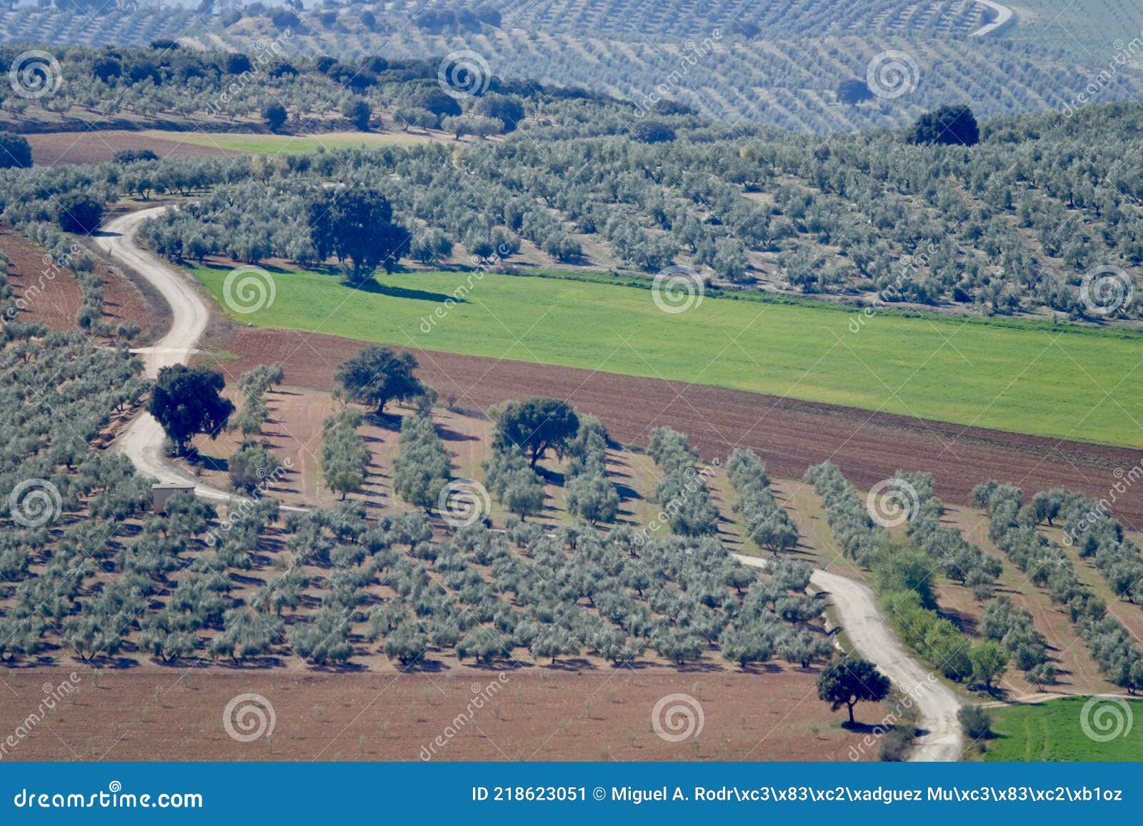 andalusian agricultural landscape along the `ruta de los cortijos` in domingo pÃÂ©rez spain