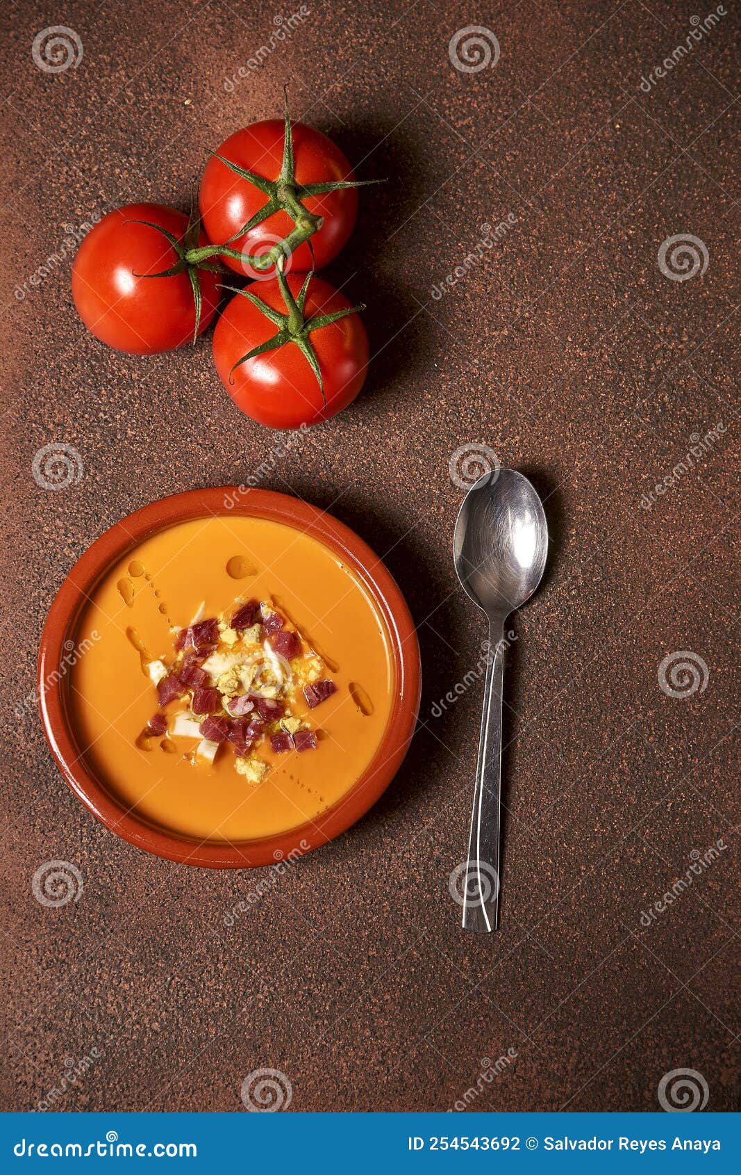 Andalusian Salmorejo Typical Spanish Healthy Food Stock Photo Image andalusian-salmorejo-typical-spanish-healthy-food-stock-photo-image