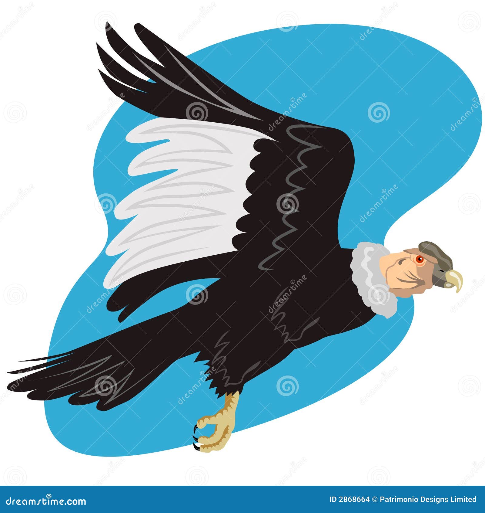 Andean Condor, Illustration - Stock Image - C027/4822 - Science Photo  Library