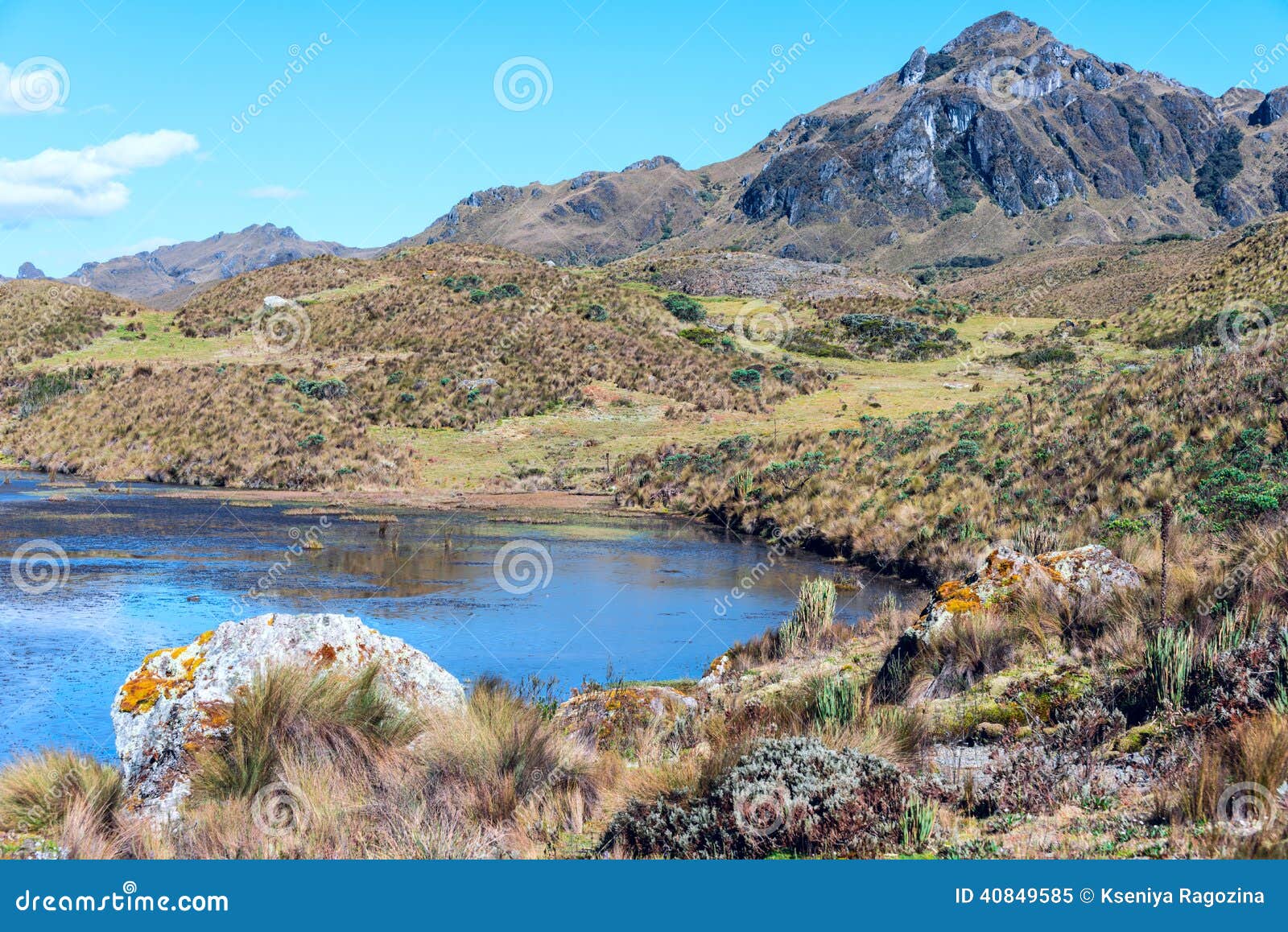 andes. cajas national park, ecuador