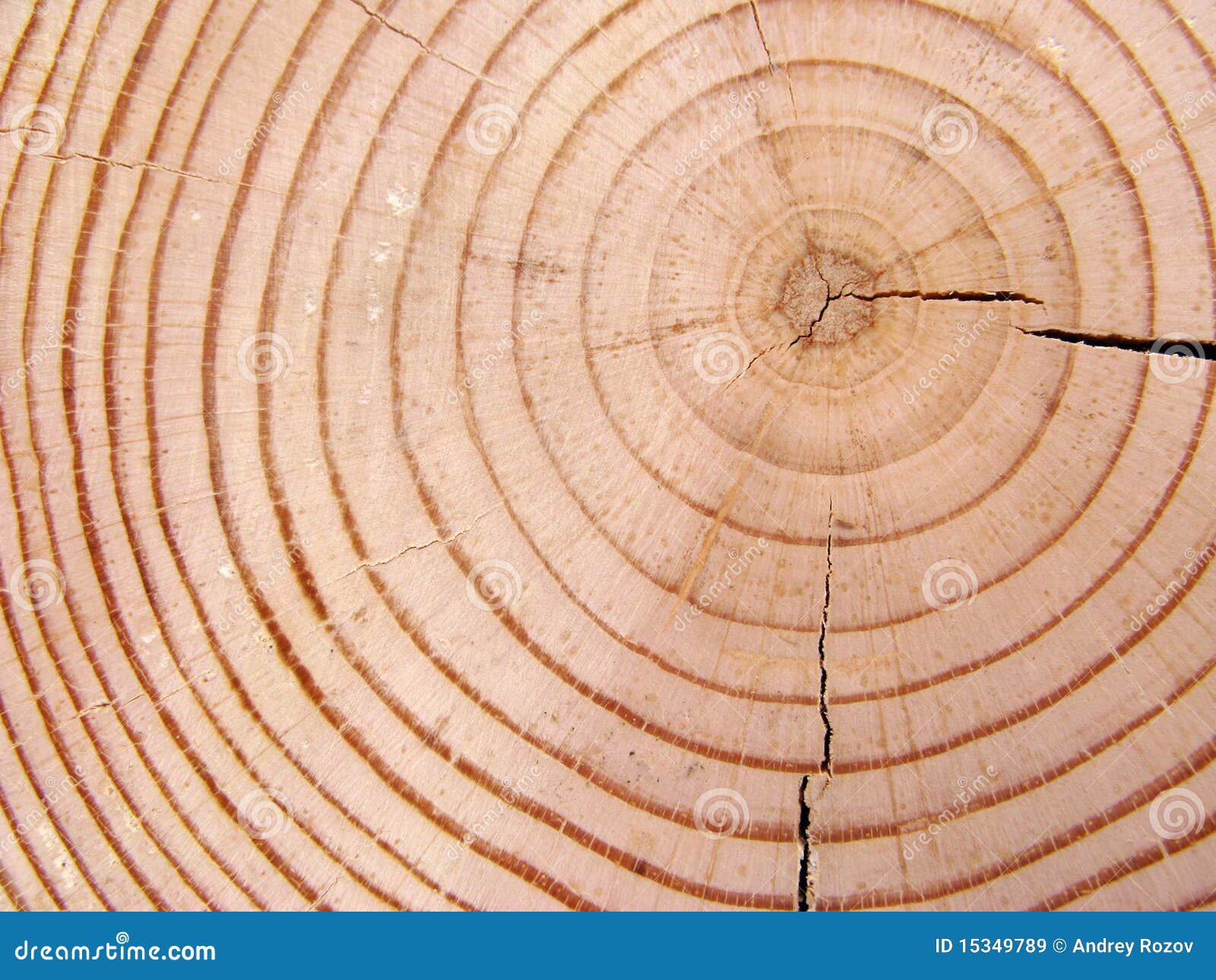 O-Ring Per Dardi RED DRAGON - Sistema Di Bloccaggio Per Alberi In Alluminio, 60 Pezzi - Foto 7