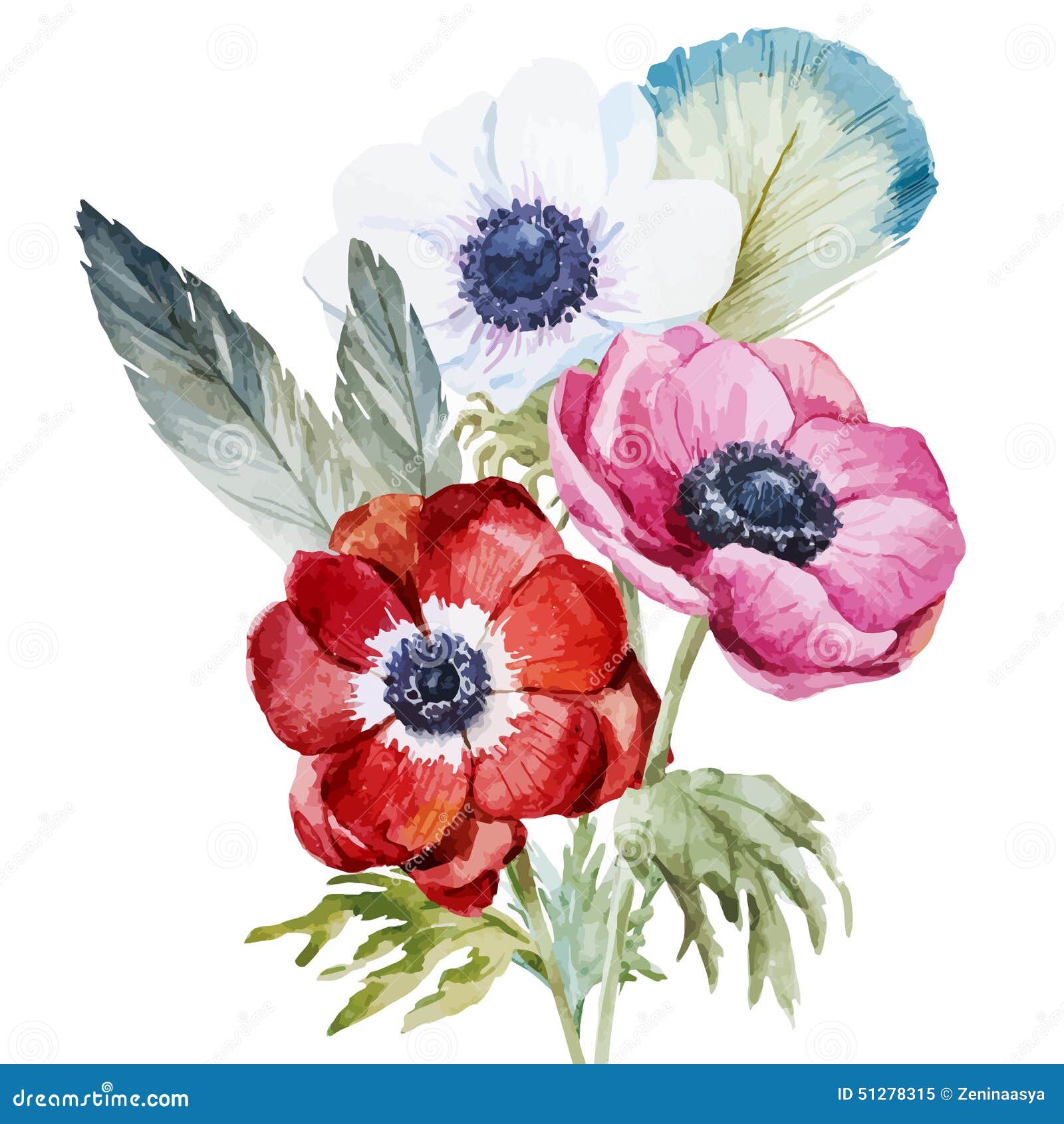 Anemones stock vector. Illustration of design, natural - 51278315