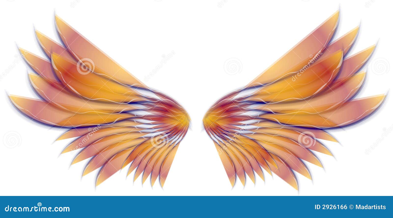 Angel Bird Or Fairy Wings Gold Stock Illustration Illustration Of Color Bird 2926166,Cooking Ribs On Gas Grill With Wood Chips