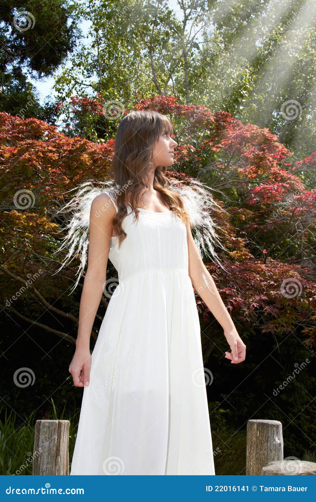 Angel in garden stock image. Image of garden, angelic 22016141