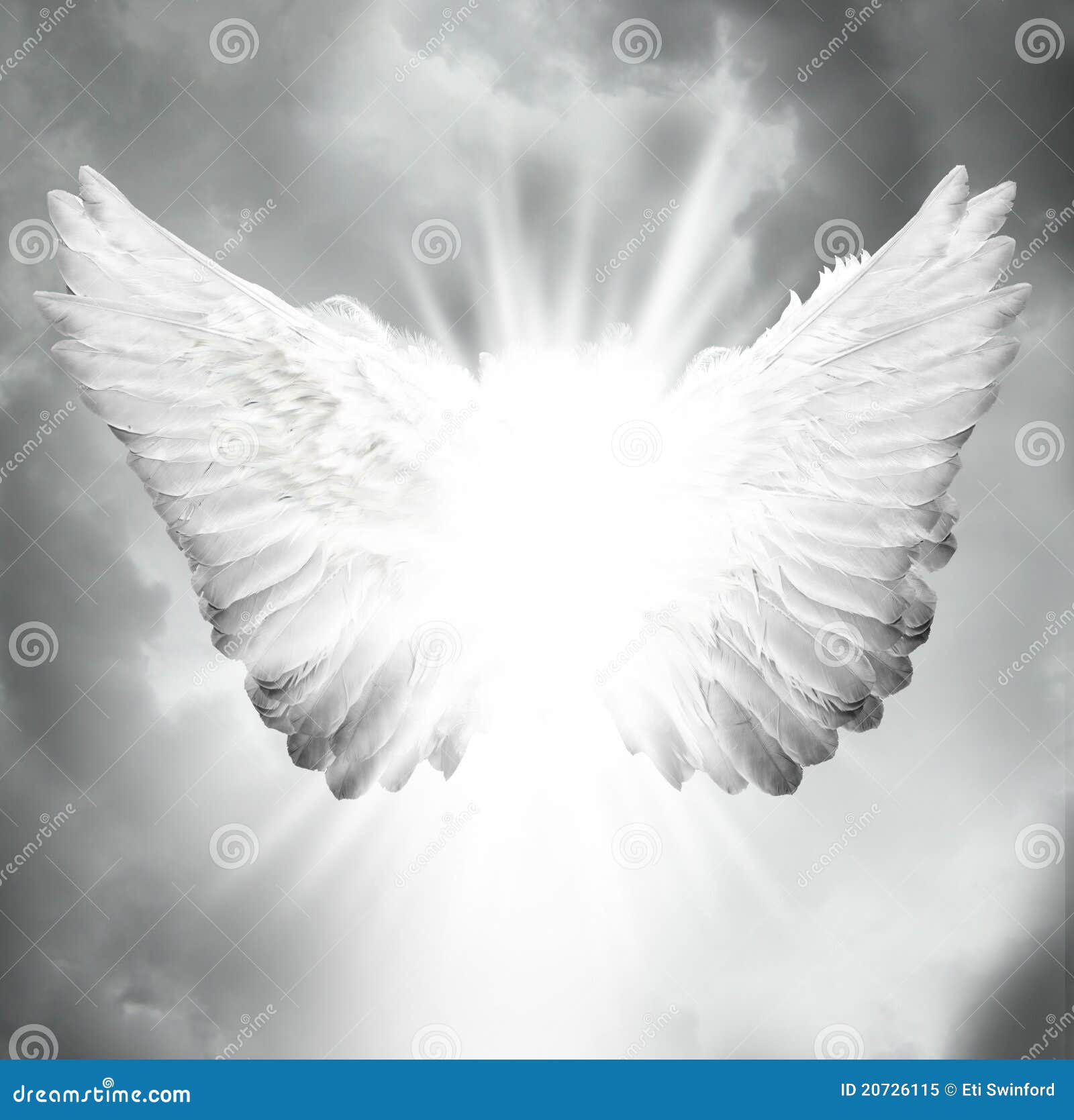 angel wings