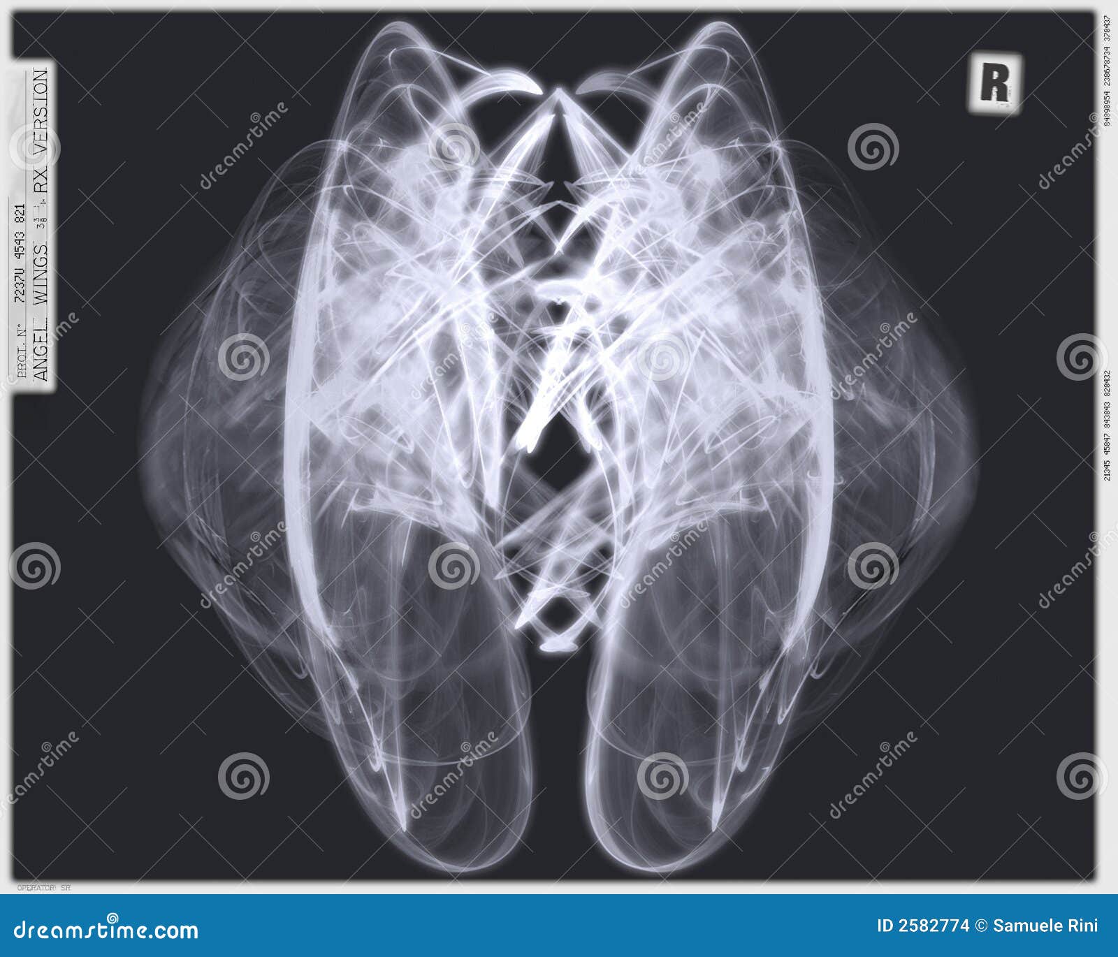 Angel Wings Xray Version Stock Images Image 2582774