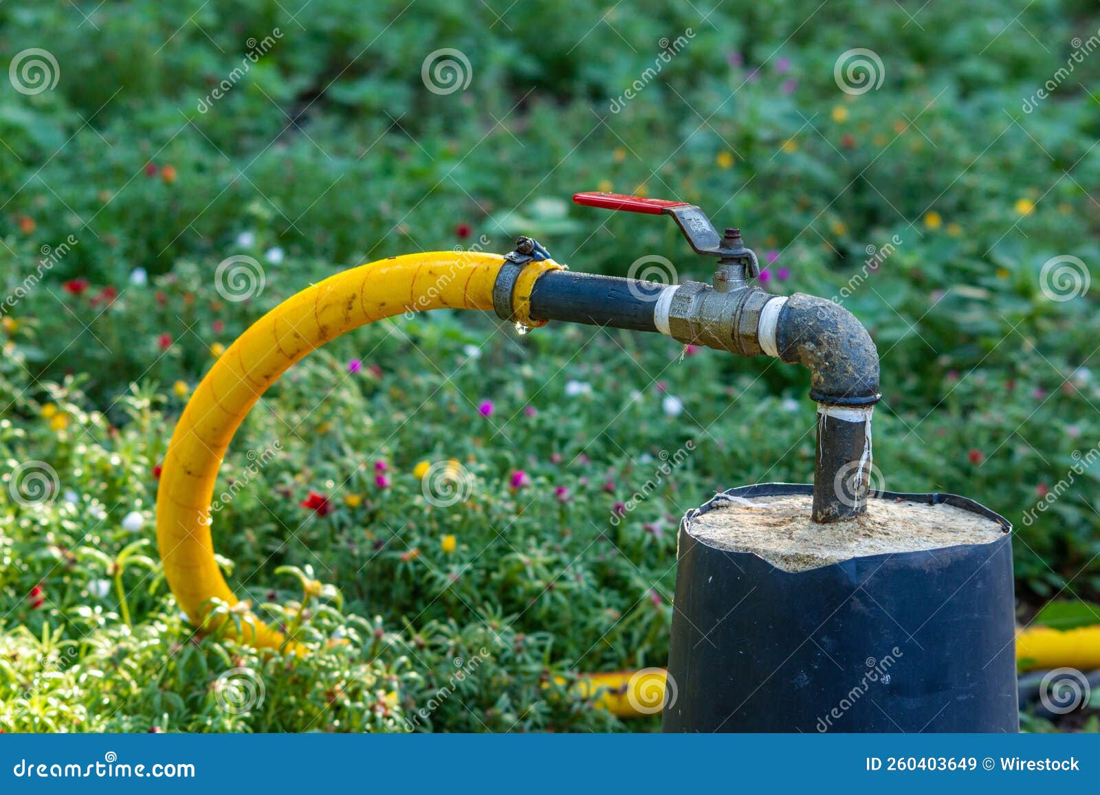 Angle Valve Attached To a Water Pipe in a Garden Stock Image Image of lifestyle, tube 260403649