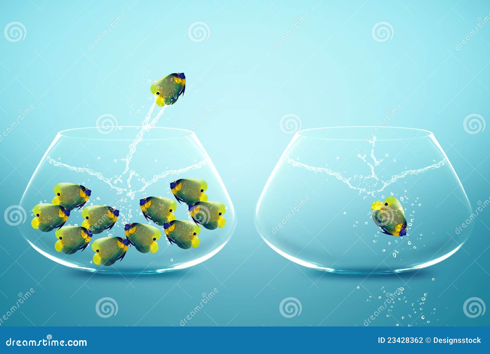 Anglefish que salta à bacia grande, ao bom conceito para a vida nova, ao conceito grande de Opprtunity, de ambição e de desafio.