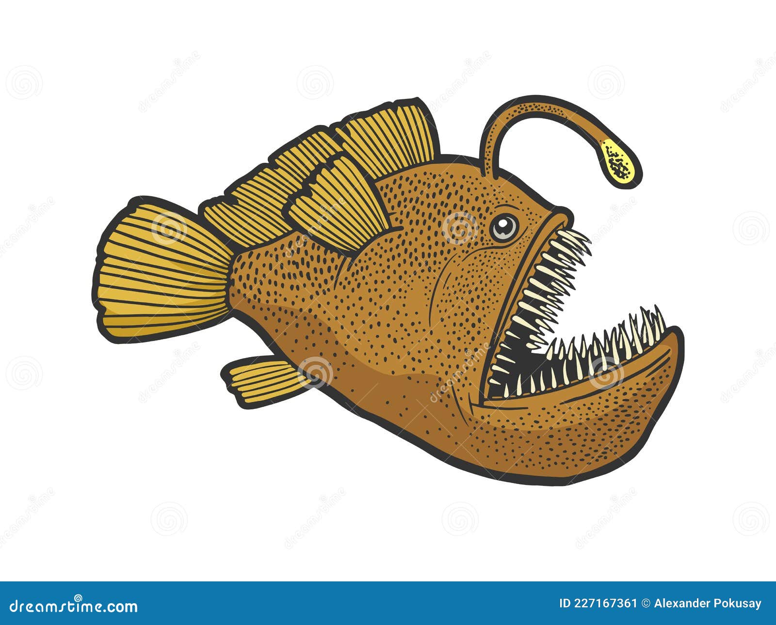 Angler Deep Sea Fish with Sketch Vector Stock Vector - Illustration of shape: 227167361