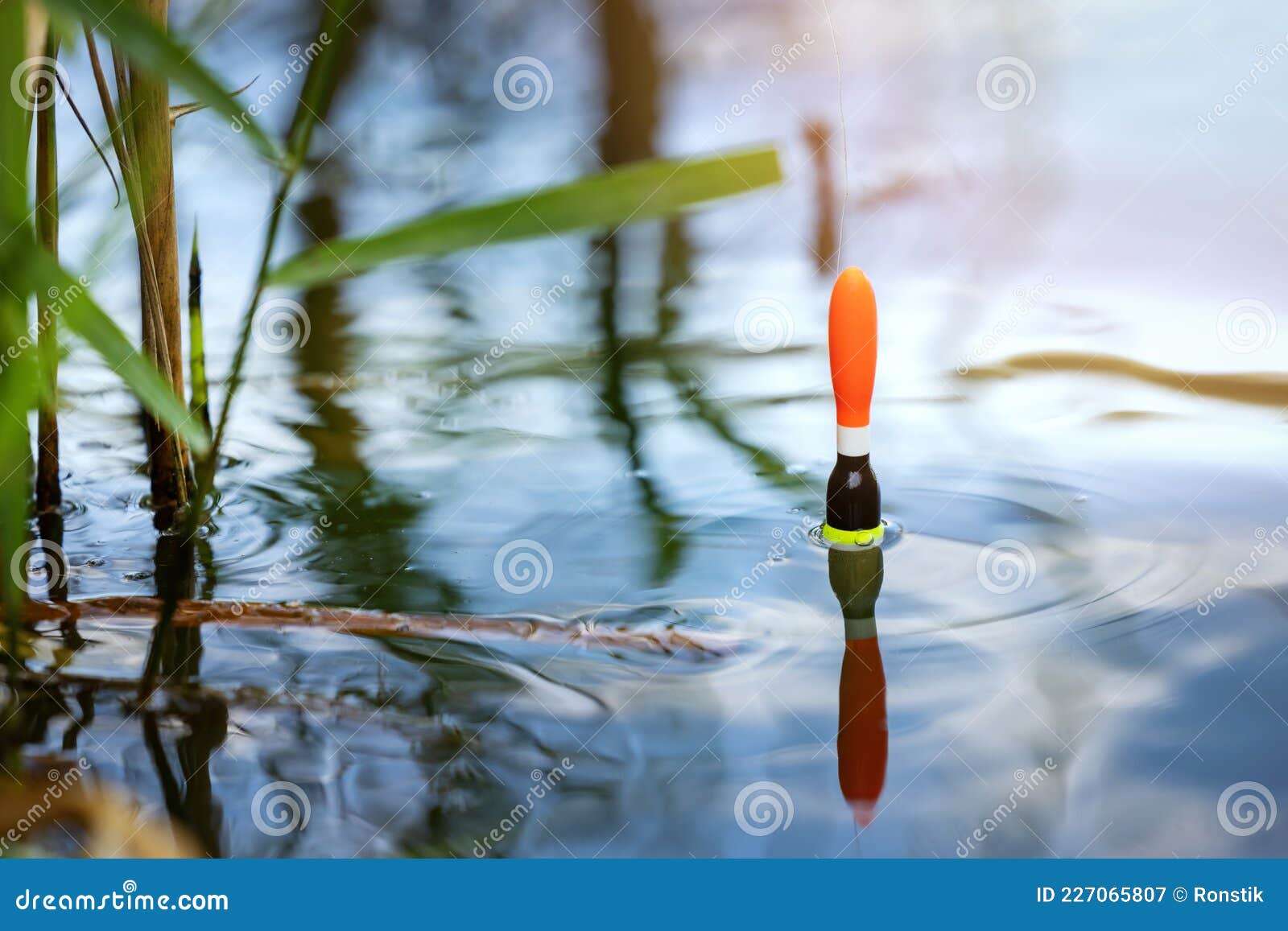 angling - fishing float in the pond water. catch the fish
