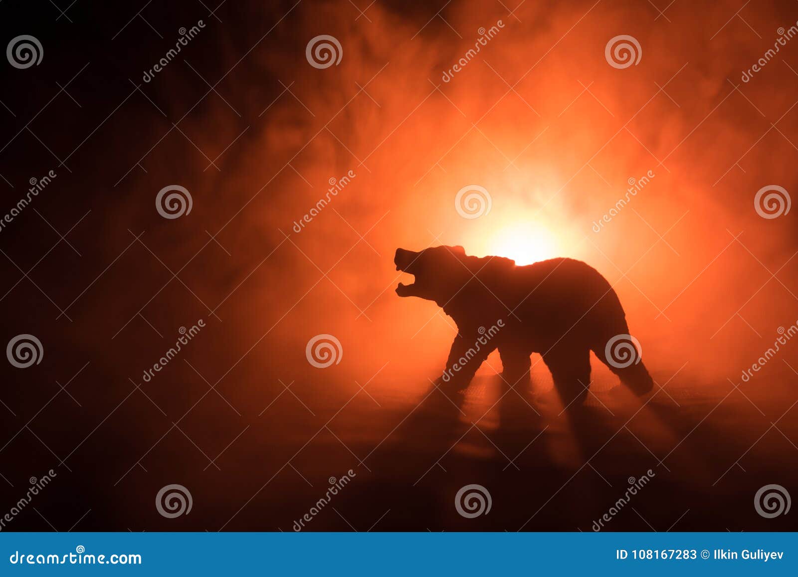 angry bear behind the fire cloudy sky. the silhouette of a bear in foggy forest dark background. selective focus