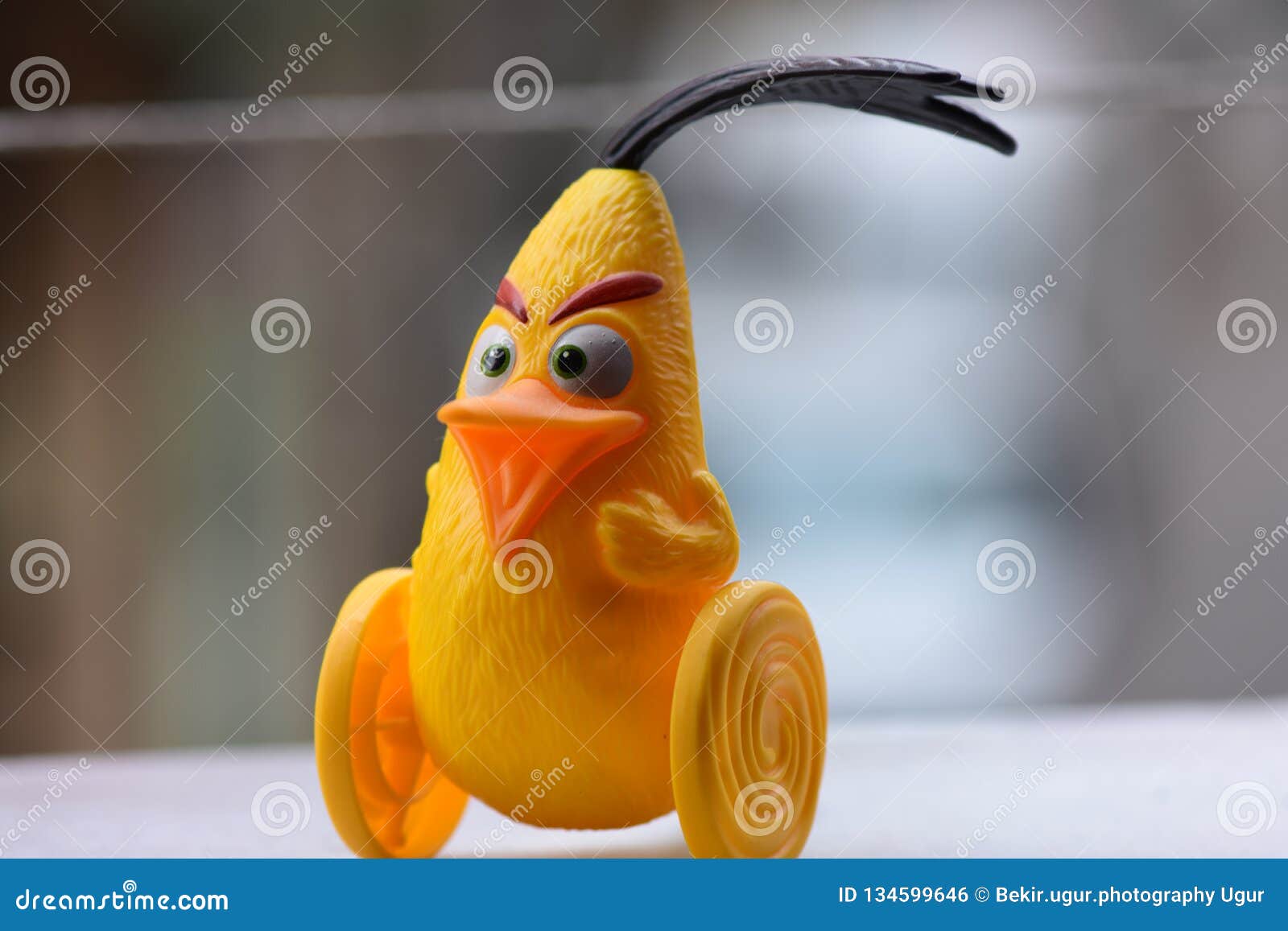 Angry Birds Yellow Toy. Animal, Adorable Editorial Photo - Image of brother, collectible: 134599646 Angry Birds Yellow Toy. Animal, Adorable Editorial Photo - Image of brother, collectible: 134599646