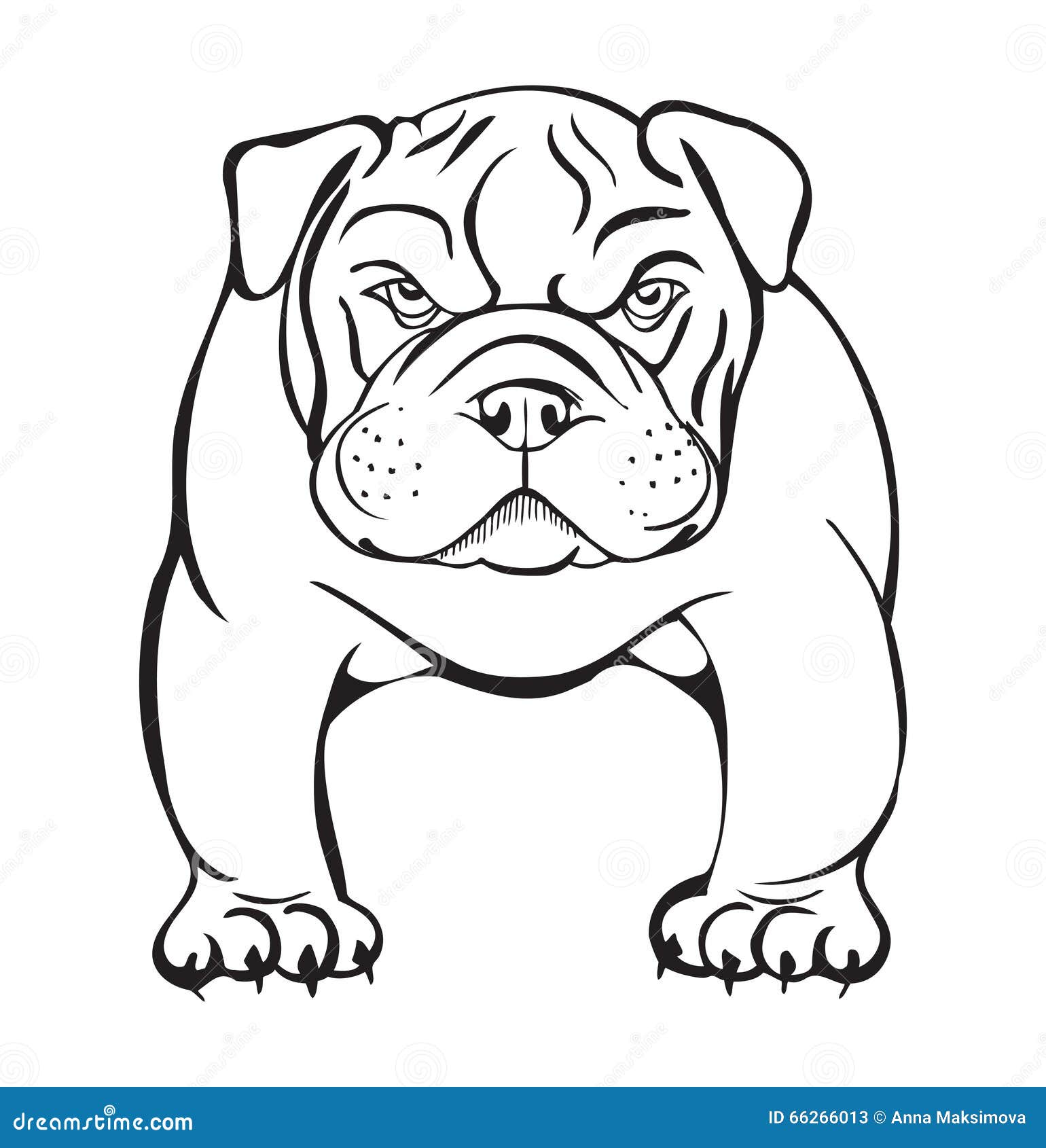 Angry Bulldog Smoking Corn Cob Pipe Drawing Stock Image CartoonDealer