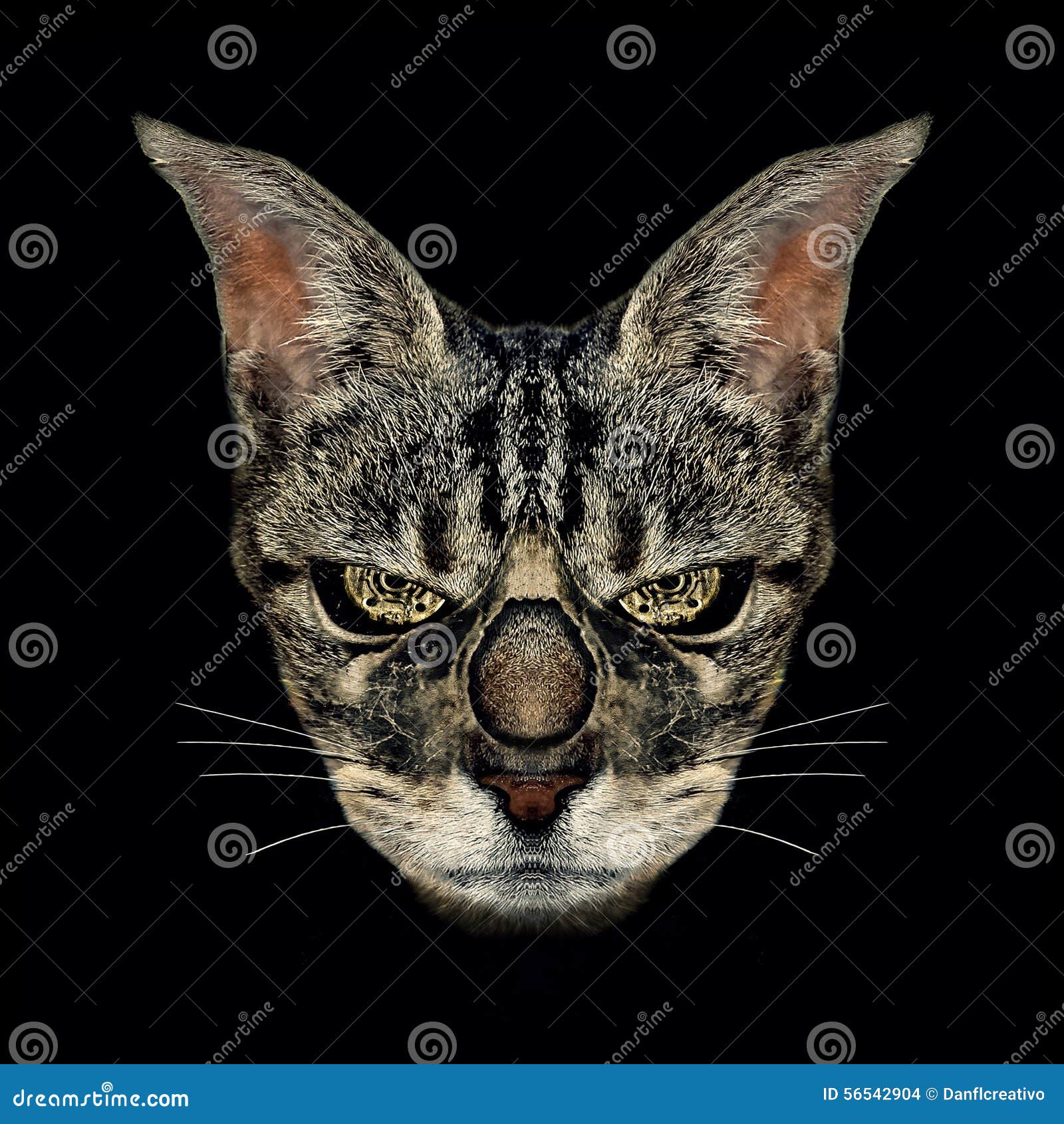 Angry Cat Digital Manipulation Photo Technique Stock Photo - Image