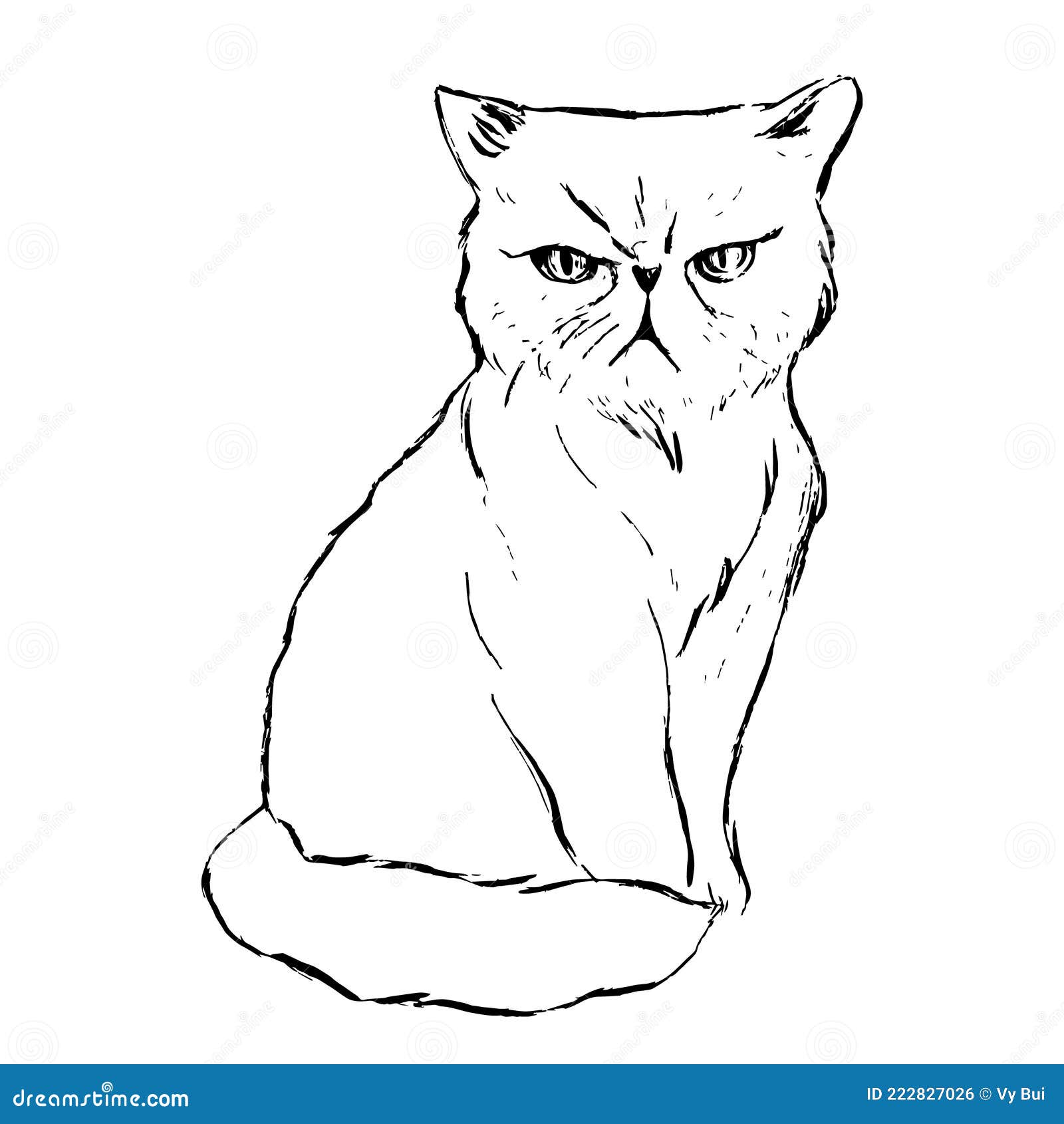 an angry cat illustration. a hand drawn illustration of a wild