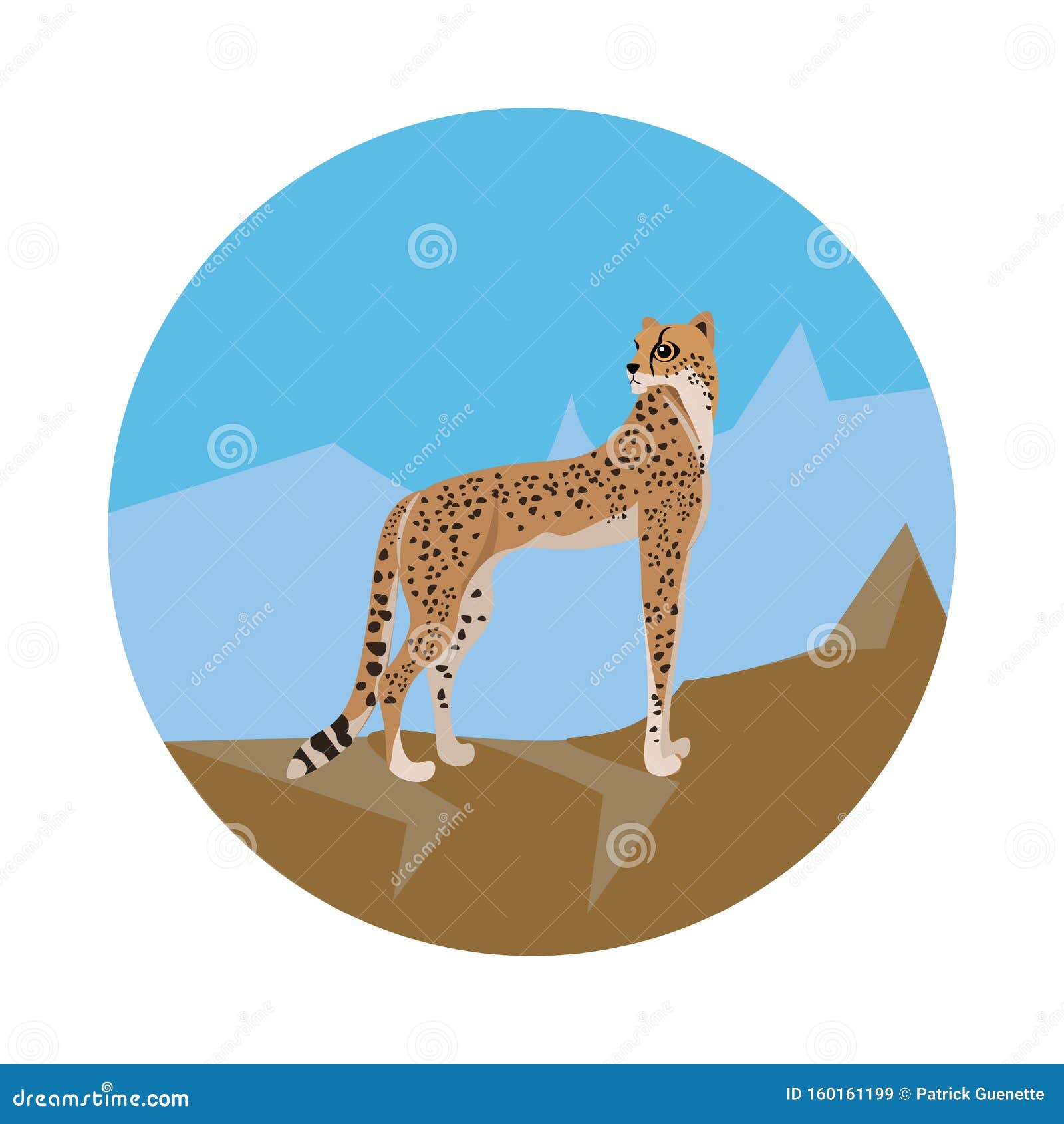 angry cheetah ,  or color 