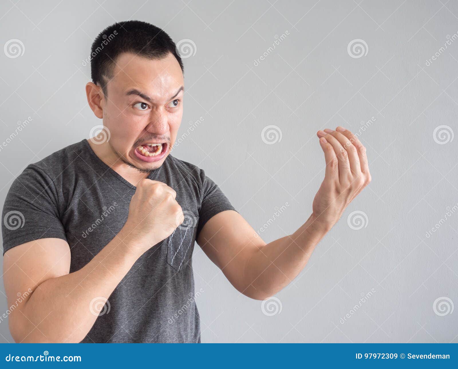 9,099 Angry Funny Mad Stock Photos - Free & Royalty-Free Stock Photos from  Dreamstime