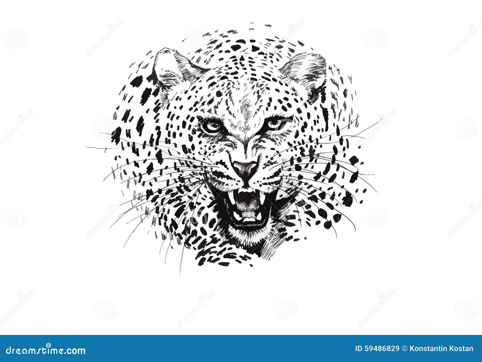 angry leopard muzzle, black and white sketch