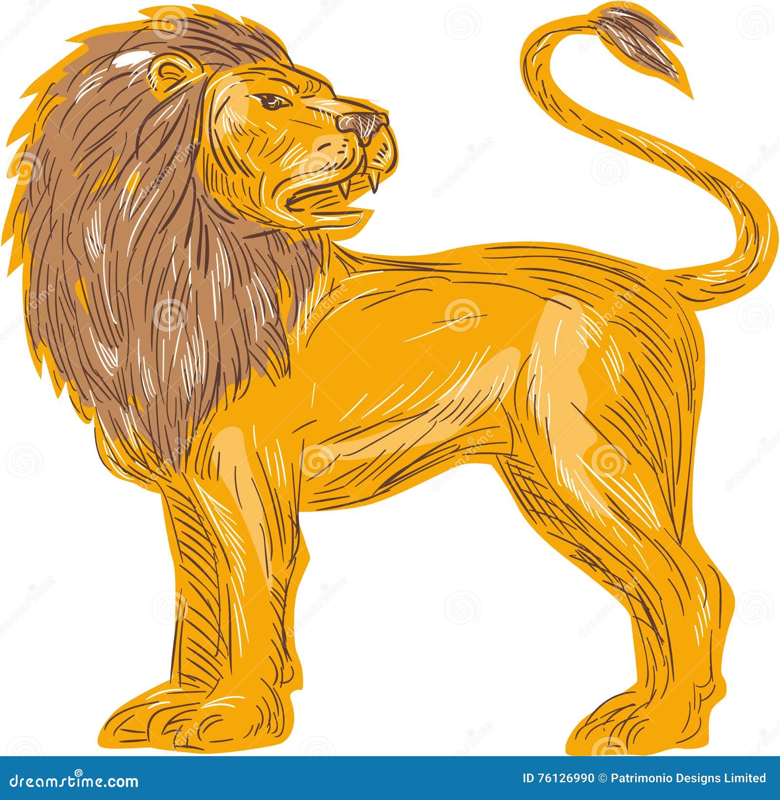 Angry Lion Drawings for Sale  Fine Art America