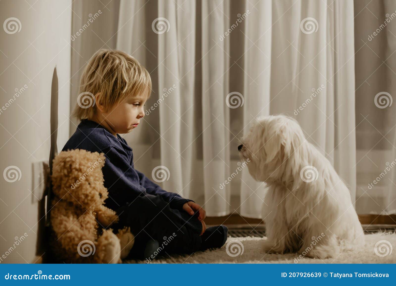 angry little toddler child, blond boy, sitting in corner with teddy punished for mischief