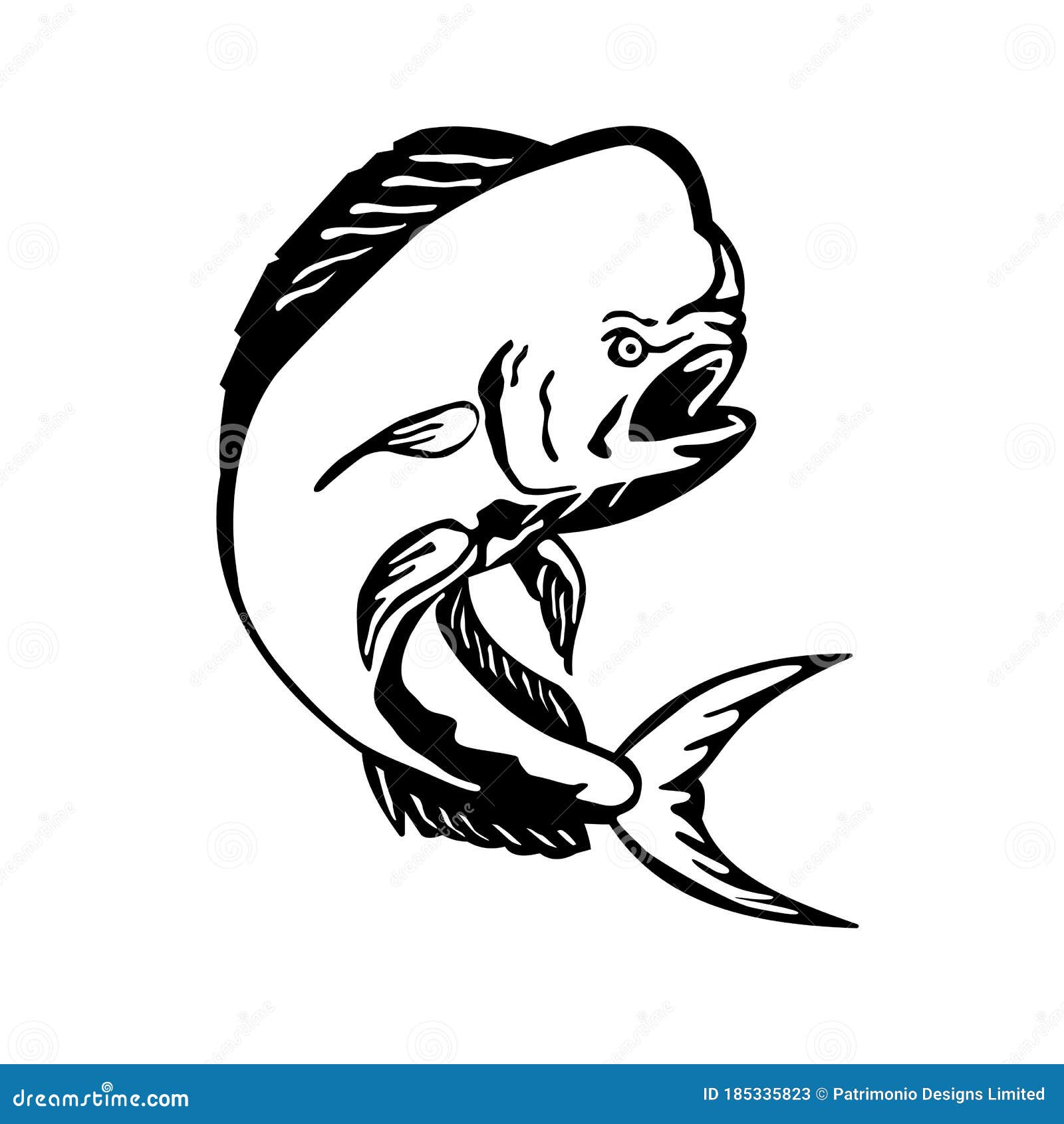 angry mahi-mahi dorado dolphinfish jumping etching black and white