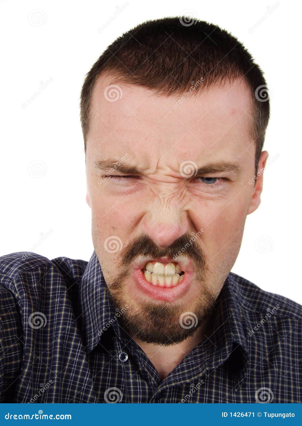 Angry man stock image. Image of caucasian, berserk, eyed - 1426471