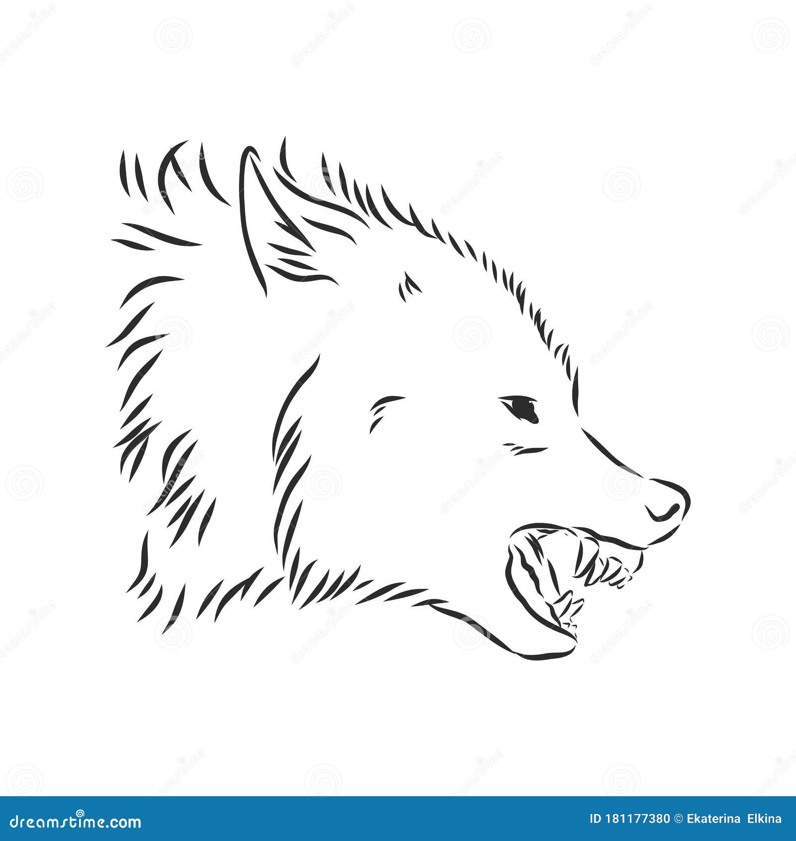Angry Wolf Stock Illustration - Download Image Now - Wolf, Illustration,  Sketch - iStock
