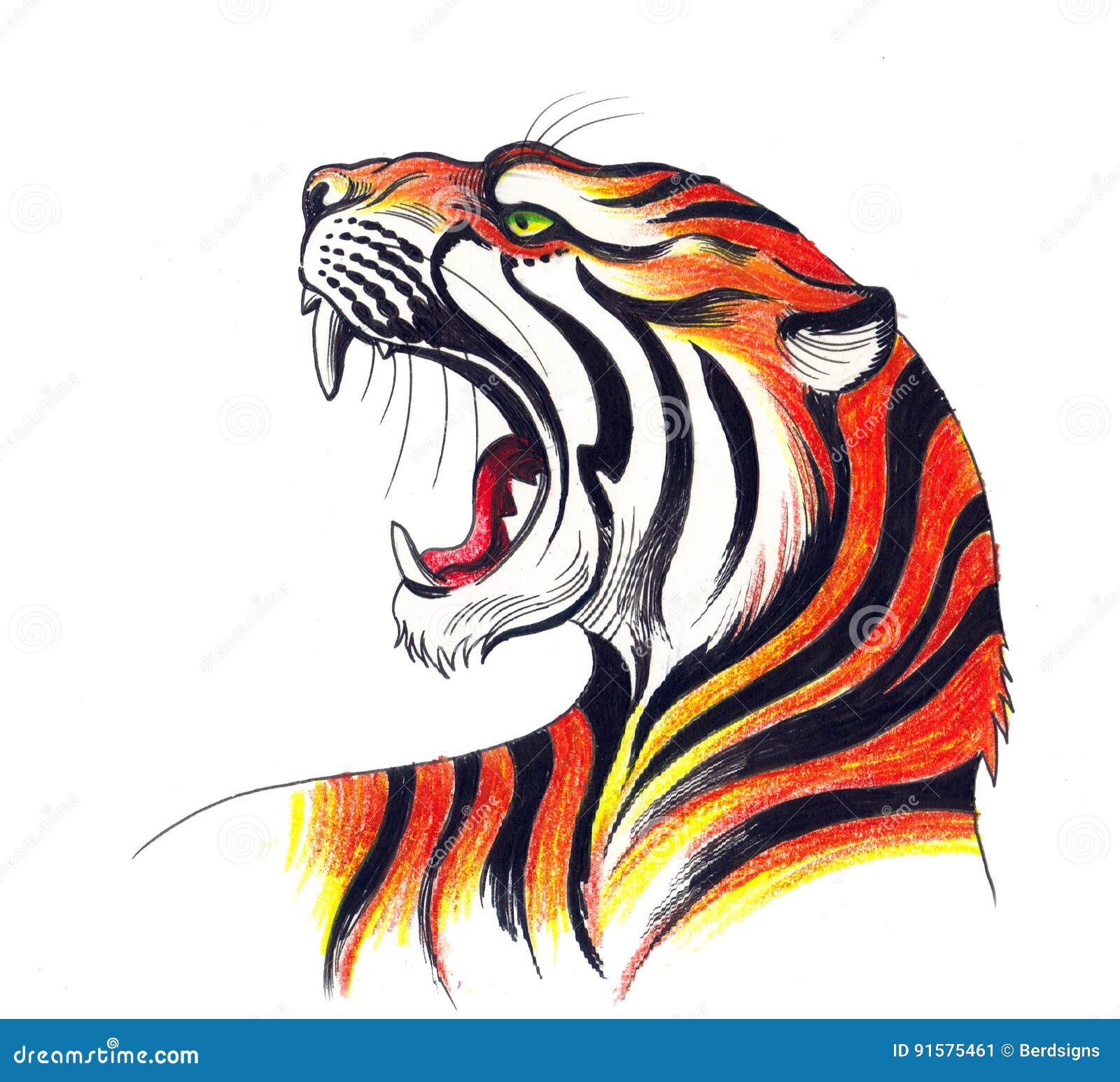 angry tiger face drawing