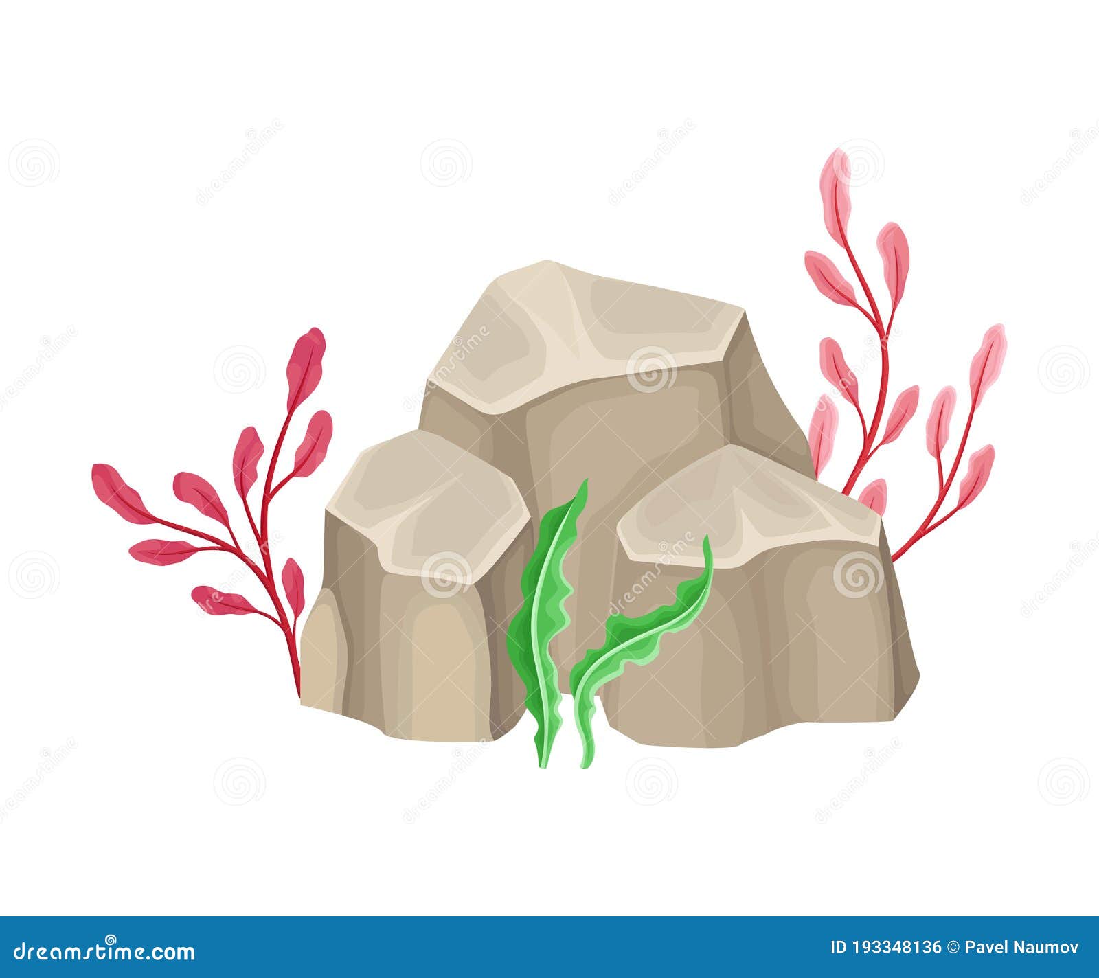 angulated sea stone or subsurface rock with seaweeds and algae  composition
