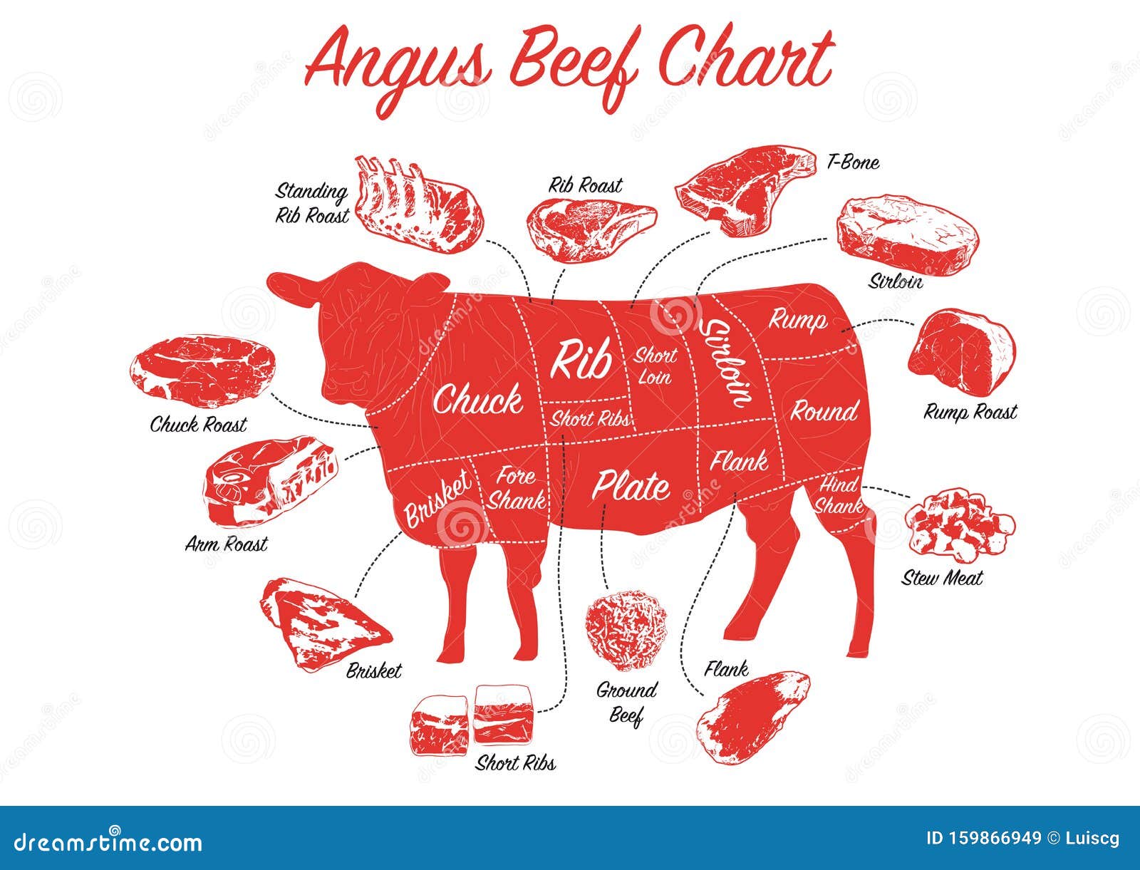 Beef Cuts Chart