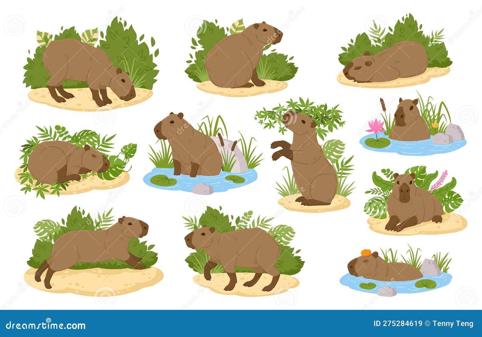 Ilustração Vetorial Do Estilo Cartoon De Capybara De Saudação De