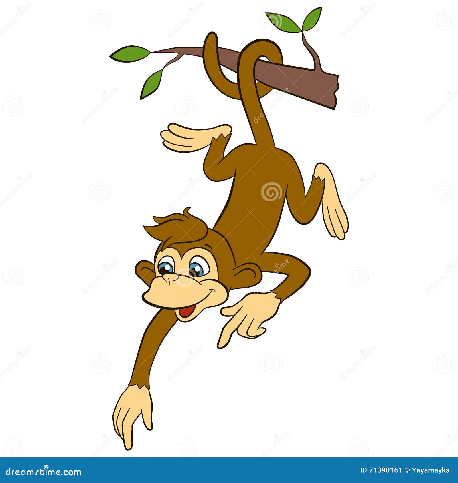 Desenho de macaco-aranha bonito em pé