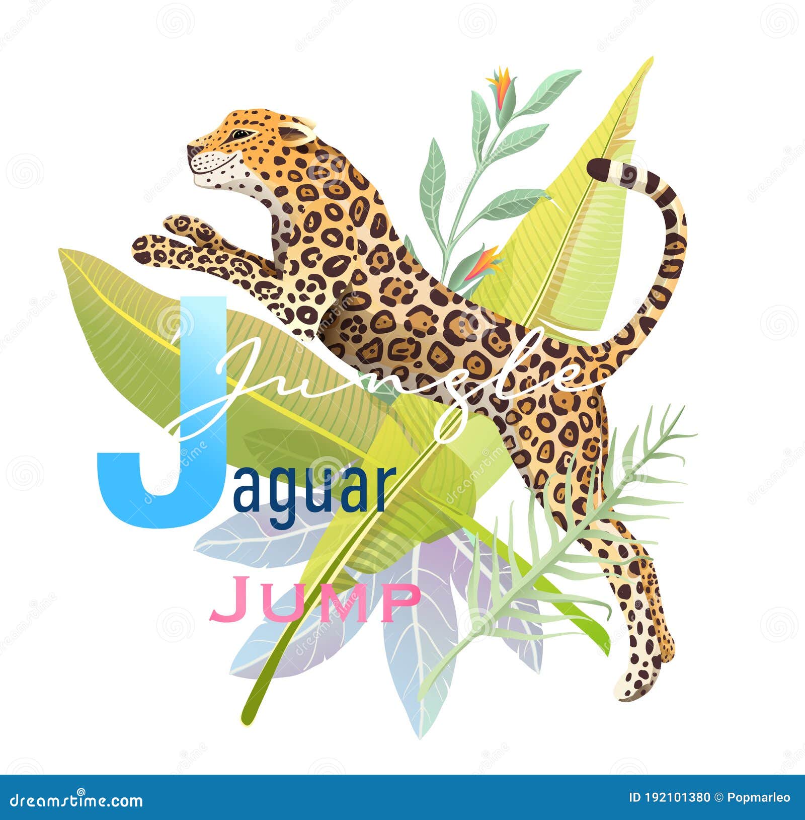 Animal ABC Letter J is for Jaguar Jungle Jump Stock Vector - Illustration of jungle, jump: 192101380 Animal ABC Letter J is for Jaguar Jungle Jump Stock Vector - Illustration of jungle, jump: 192101380