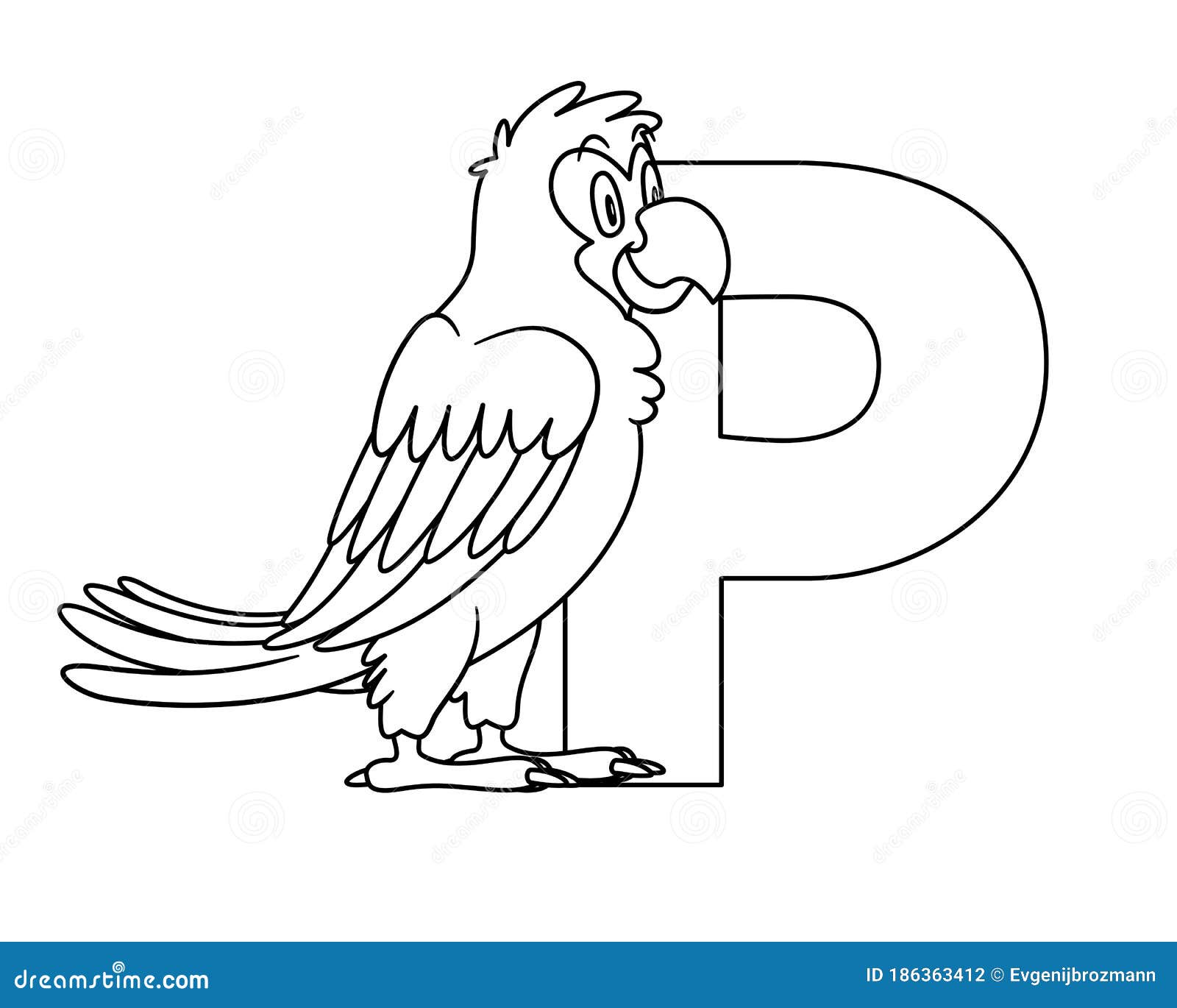 Animal Alphabet. Capital Letter P, Parrot. Illustration. for Pre School