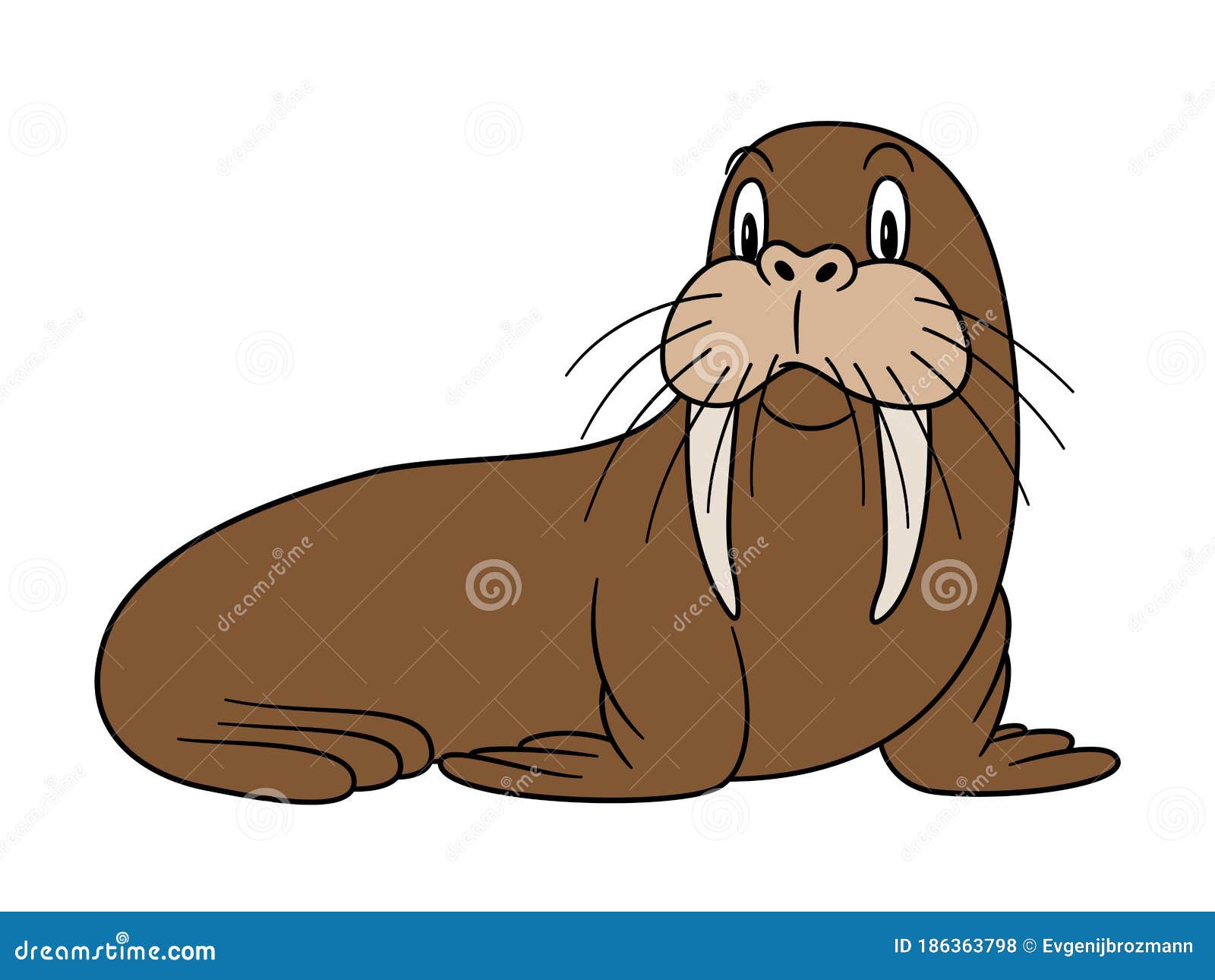 Cartoon Animal Walrus. Illustration. for Pre School Education, Kindergarten  and Kids and Children. for Print and Books, Zoo Topic Stock Vector -  Illustration of doodle, cold: 186363798